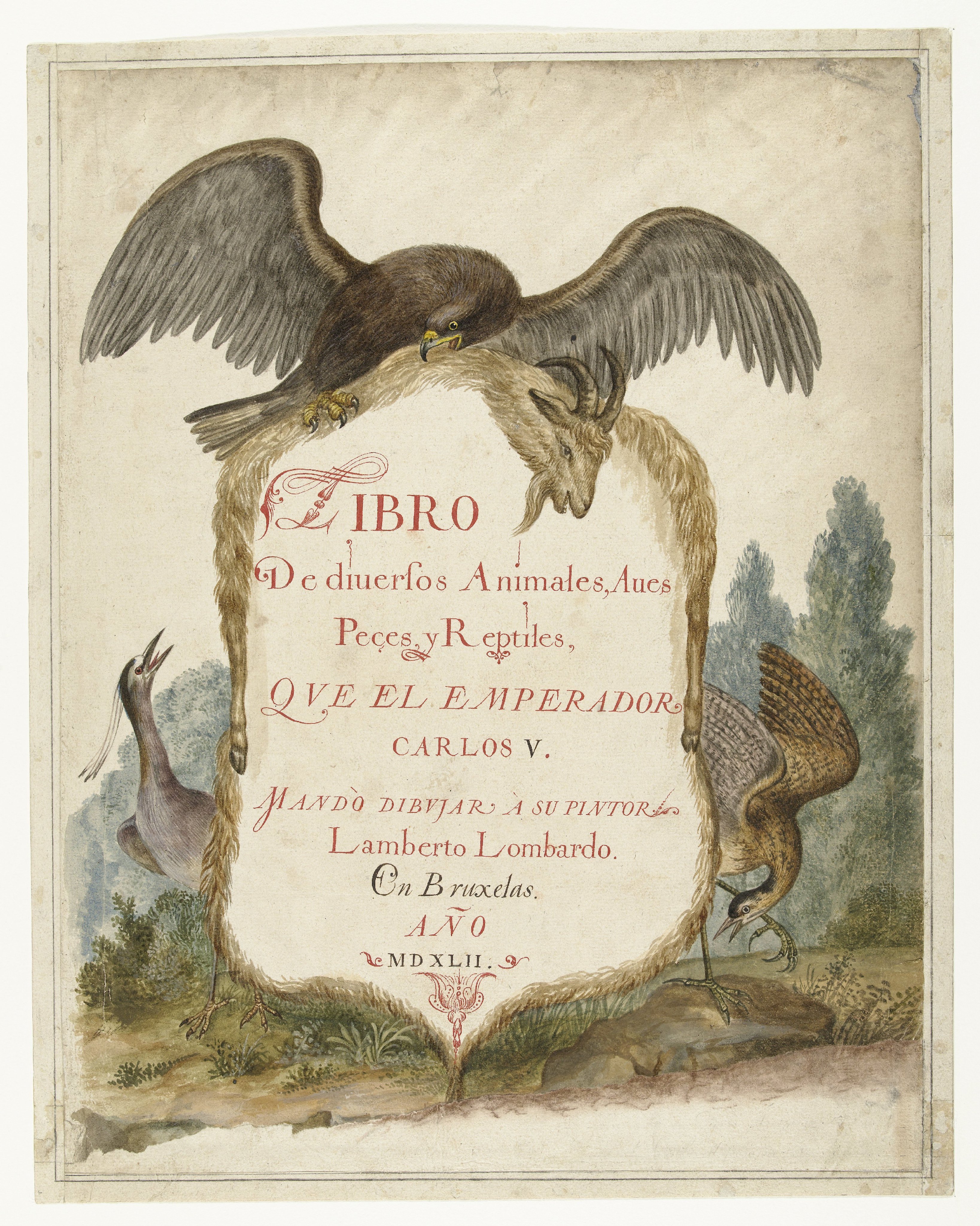 Cartouche opgehouden door een steenarend, kwak en roerdomp