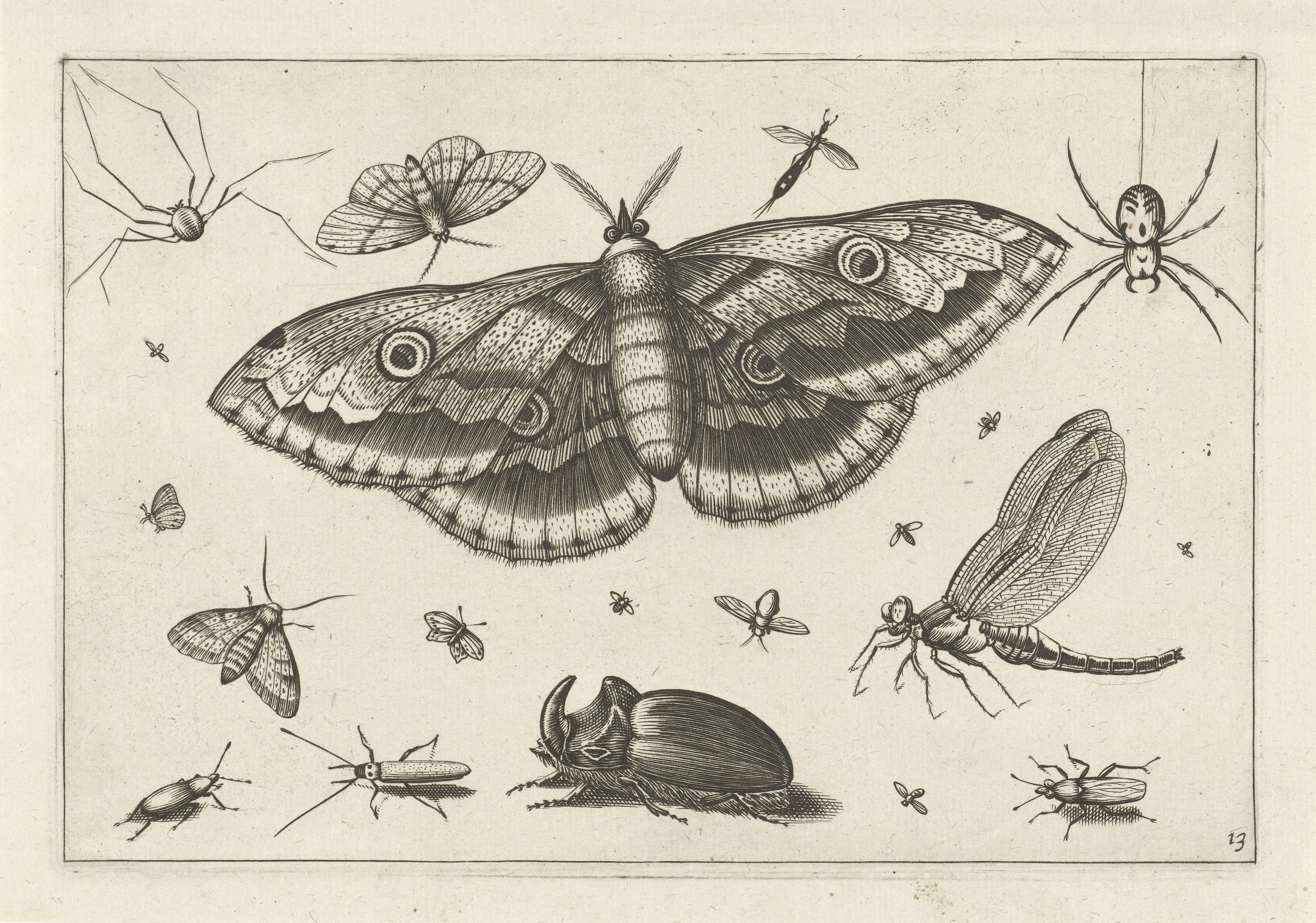 Insecten