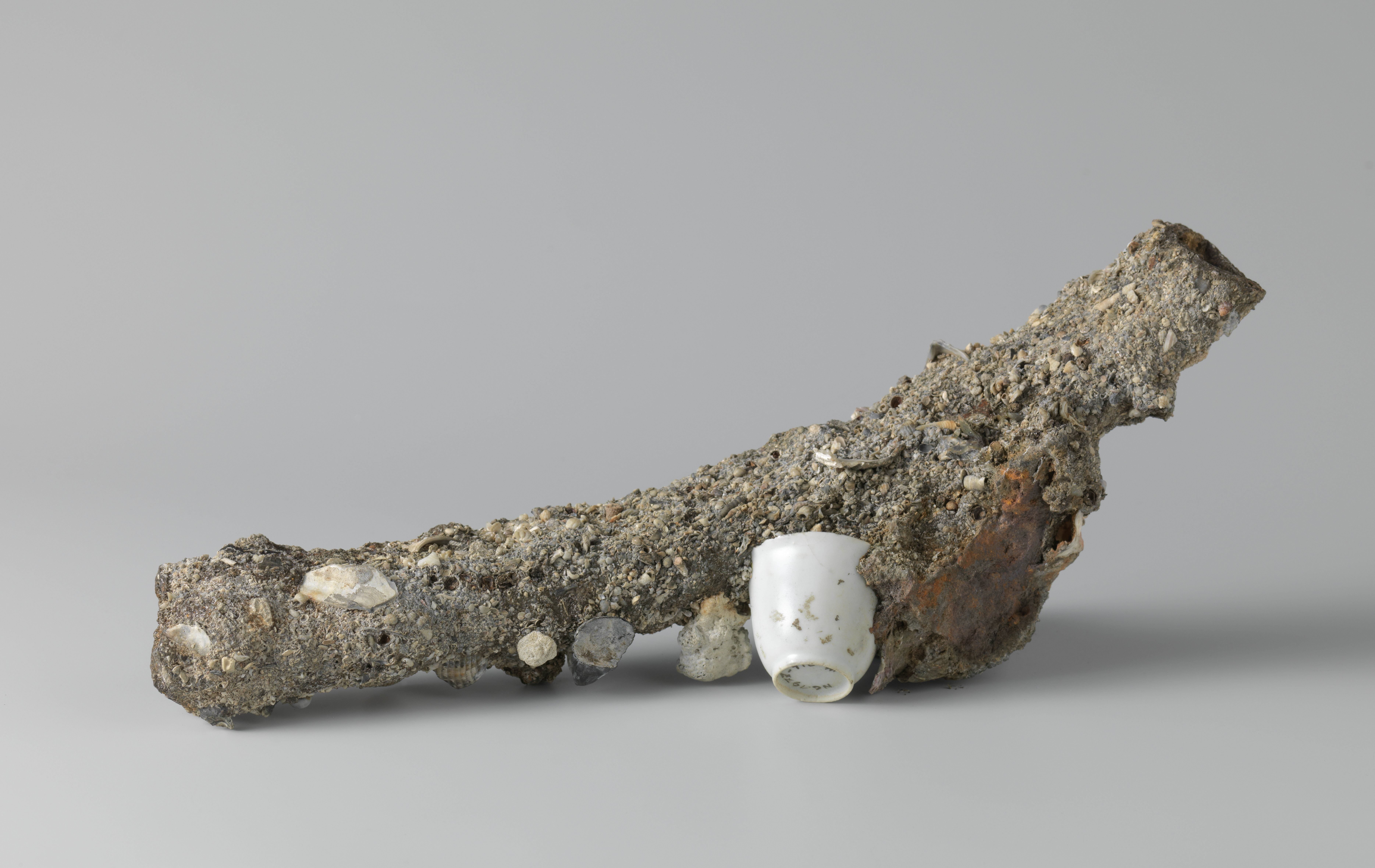 Porcelain and pepper from the VOC trading ship the Witte Leeuw