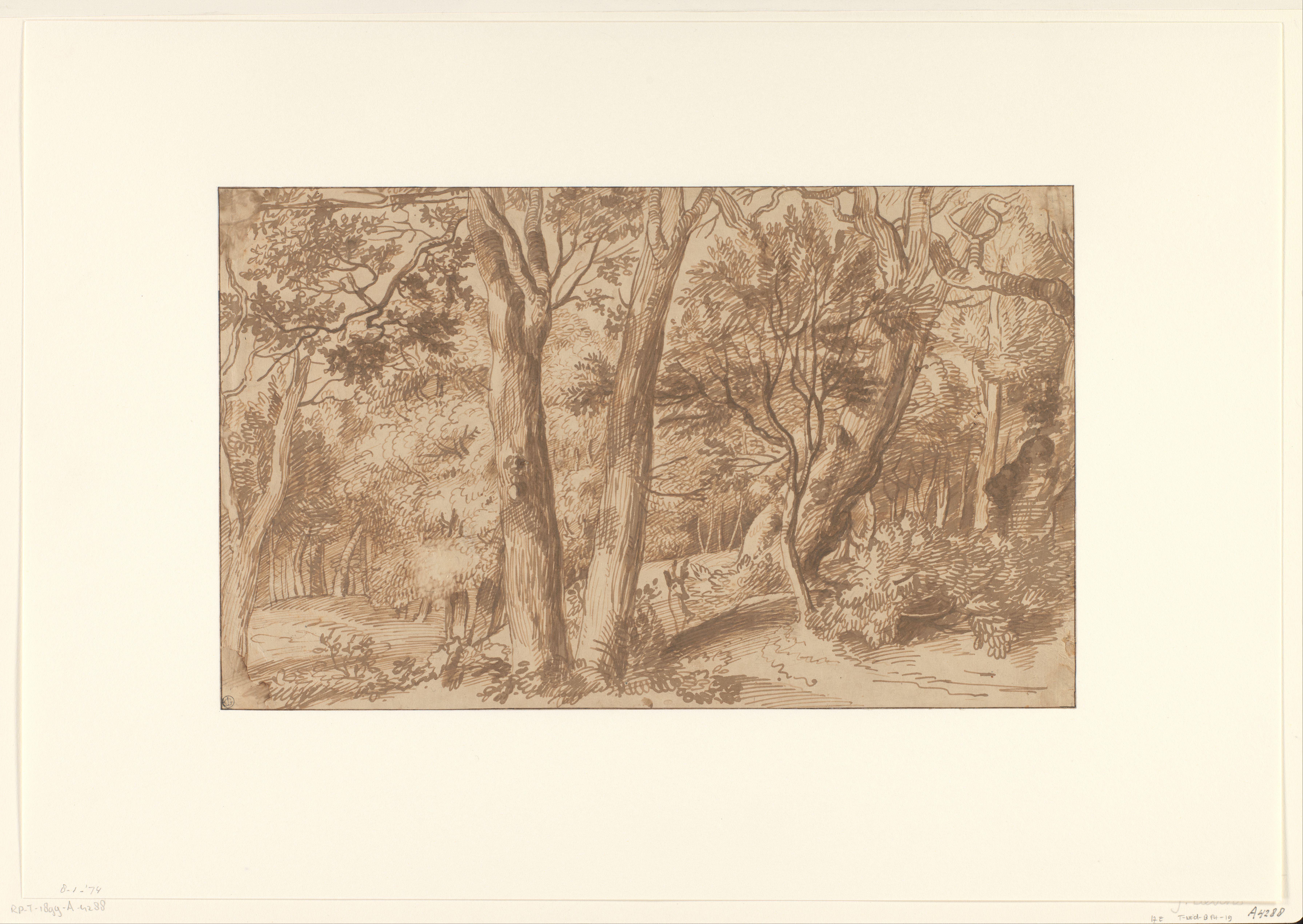 Boslandschap met een hert