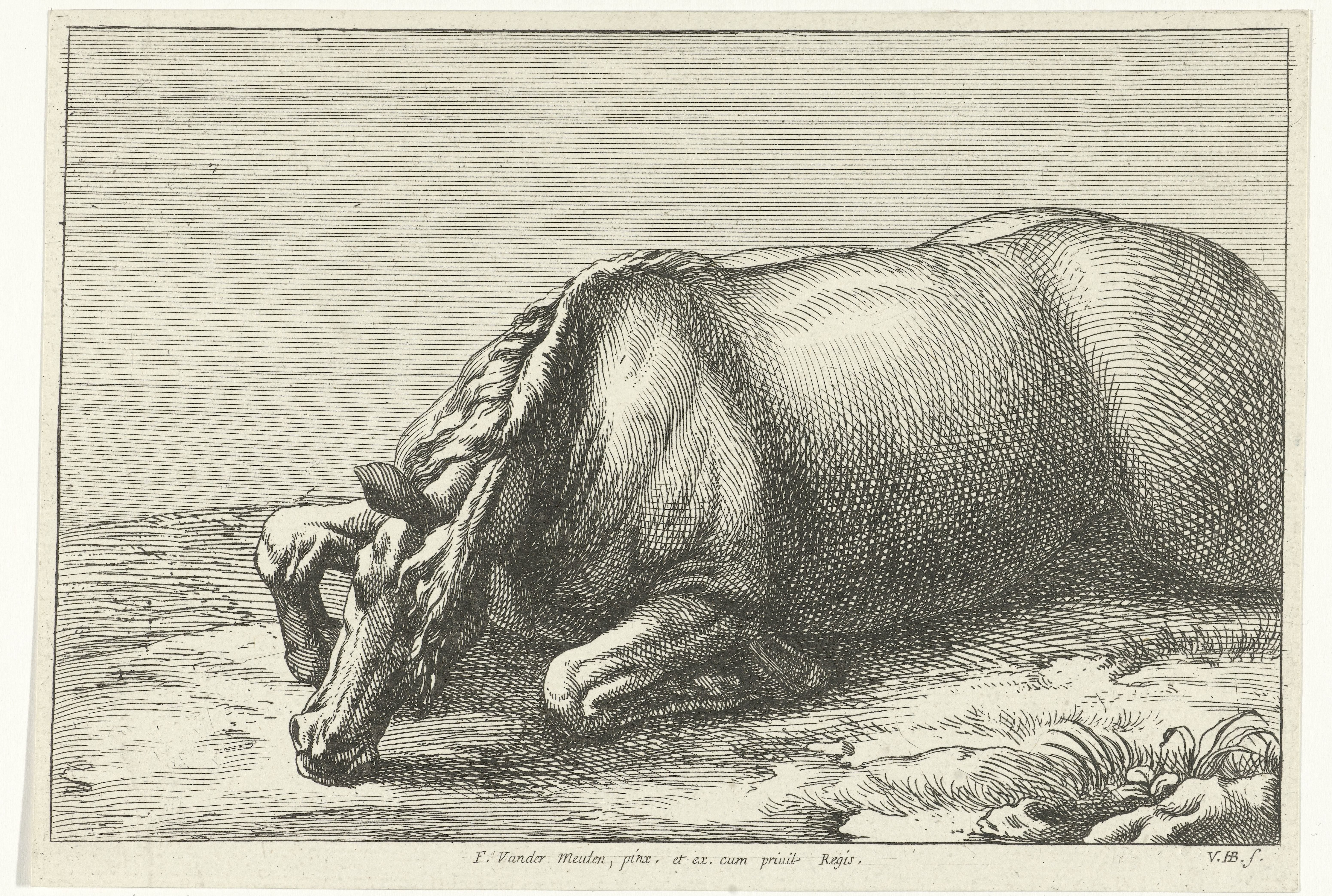 Gesneuveld paard op de linkerzij gezien