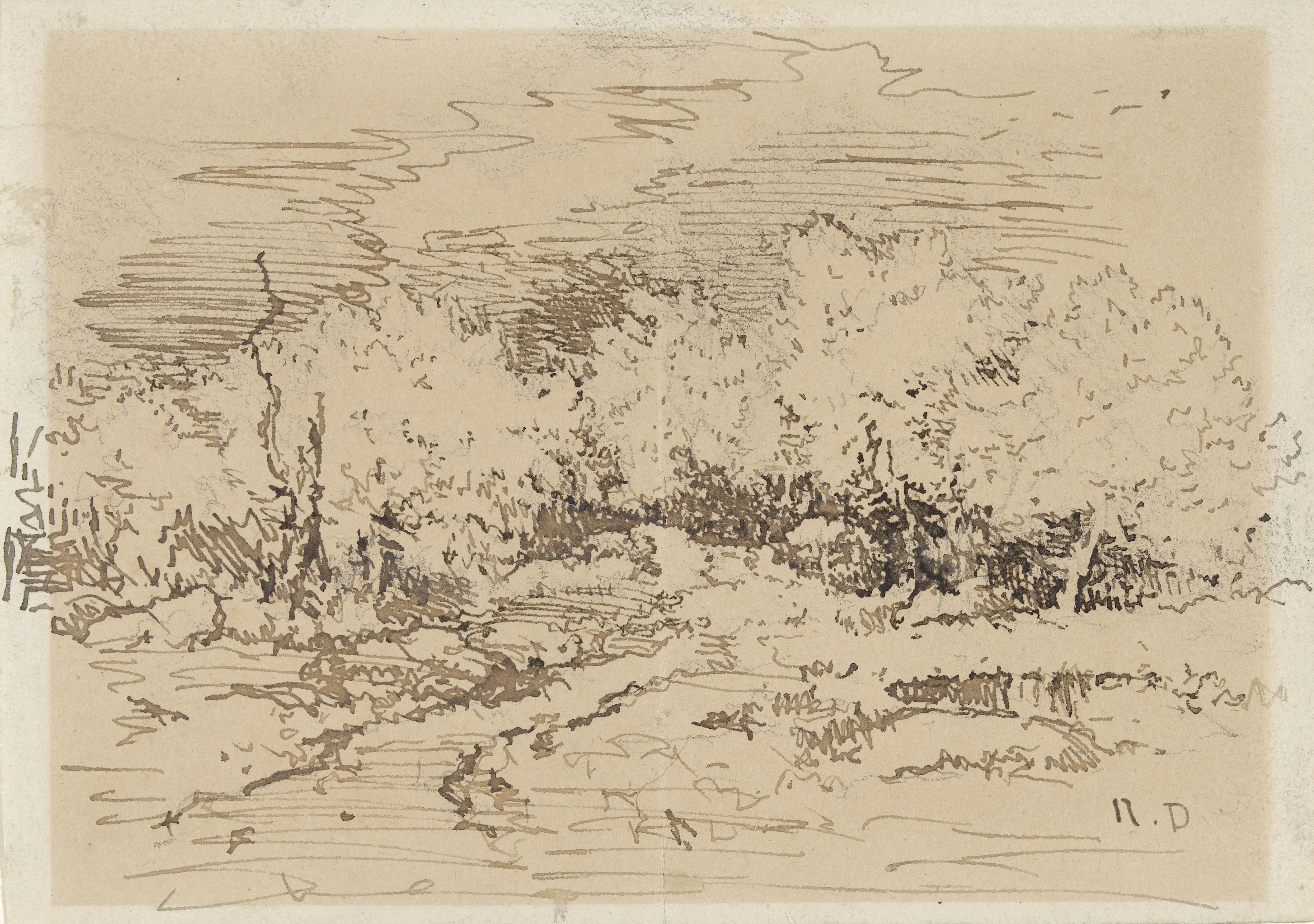 Ingang van een bos met hoge bomen