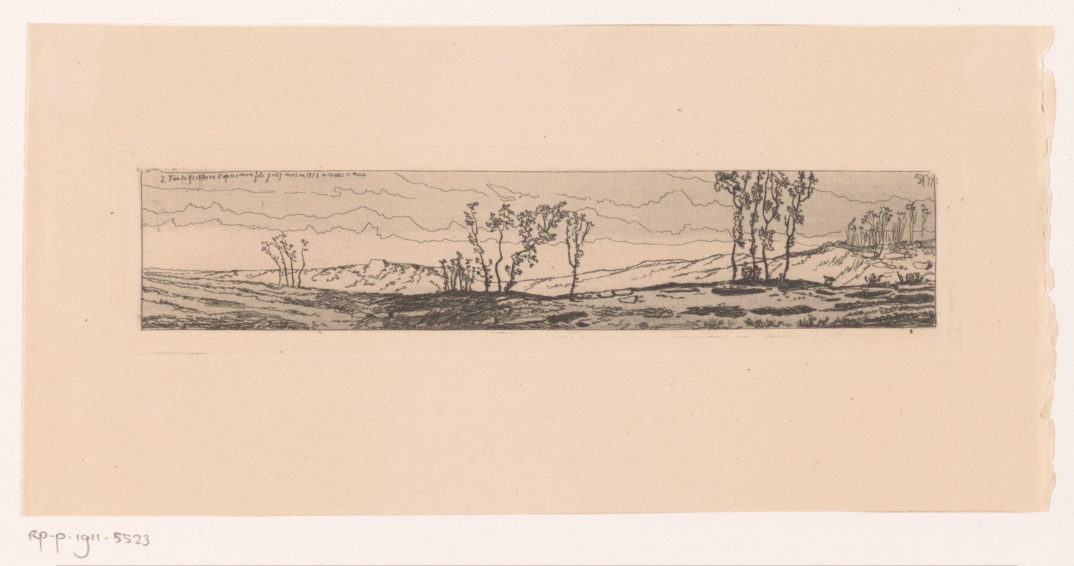 Heuvelachtig landschap met groepen bomen