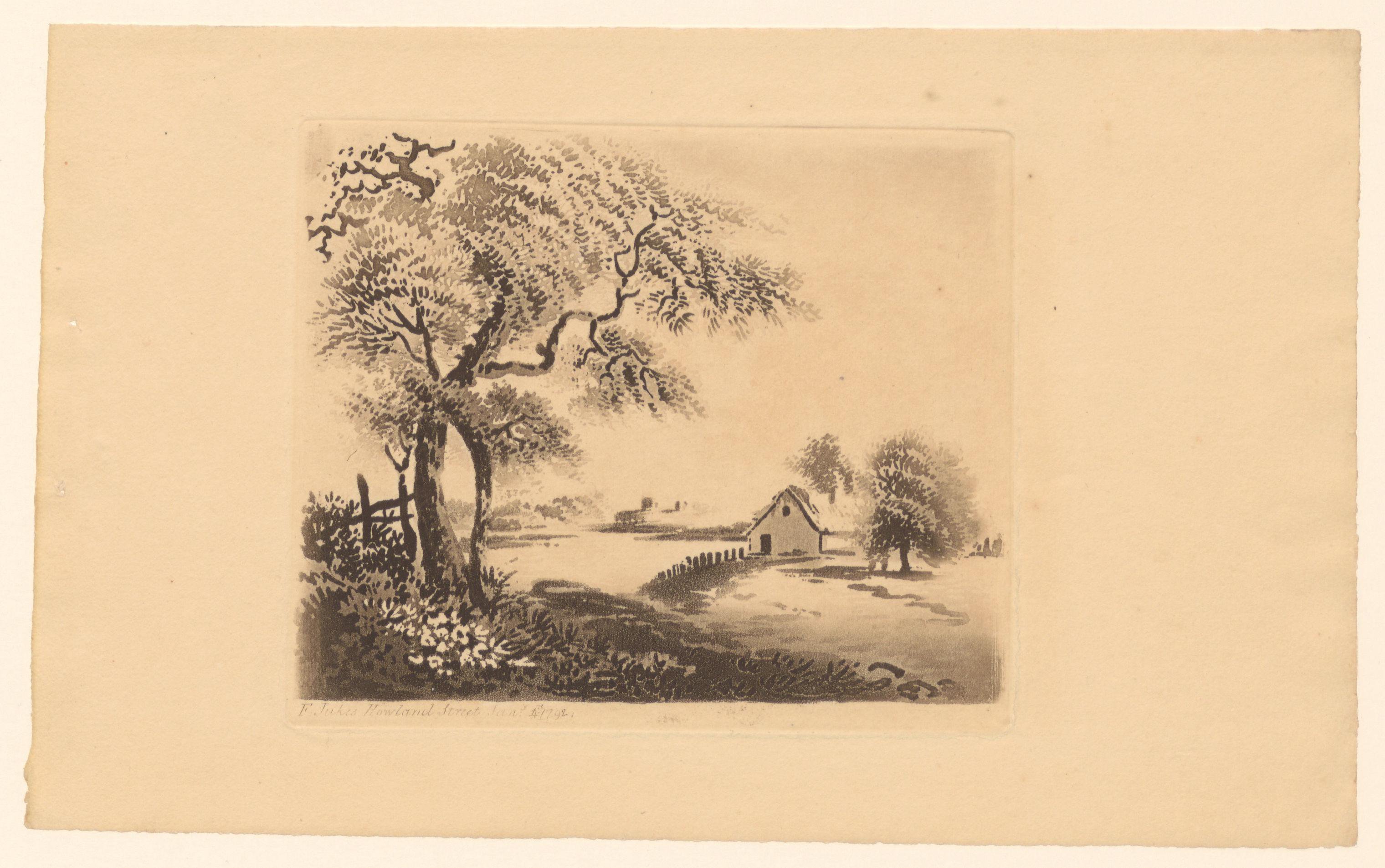 Landschap met bomen bij een huis