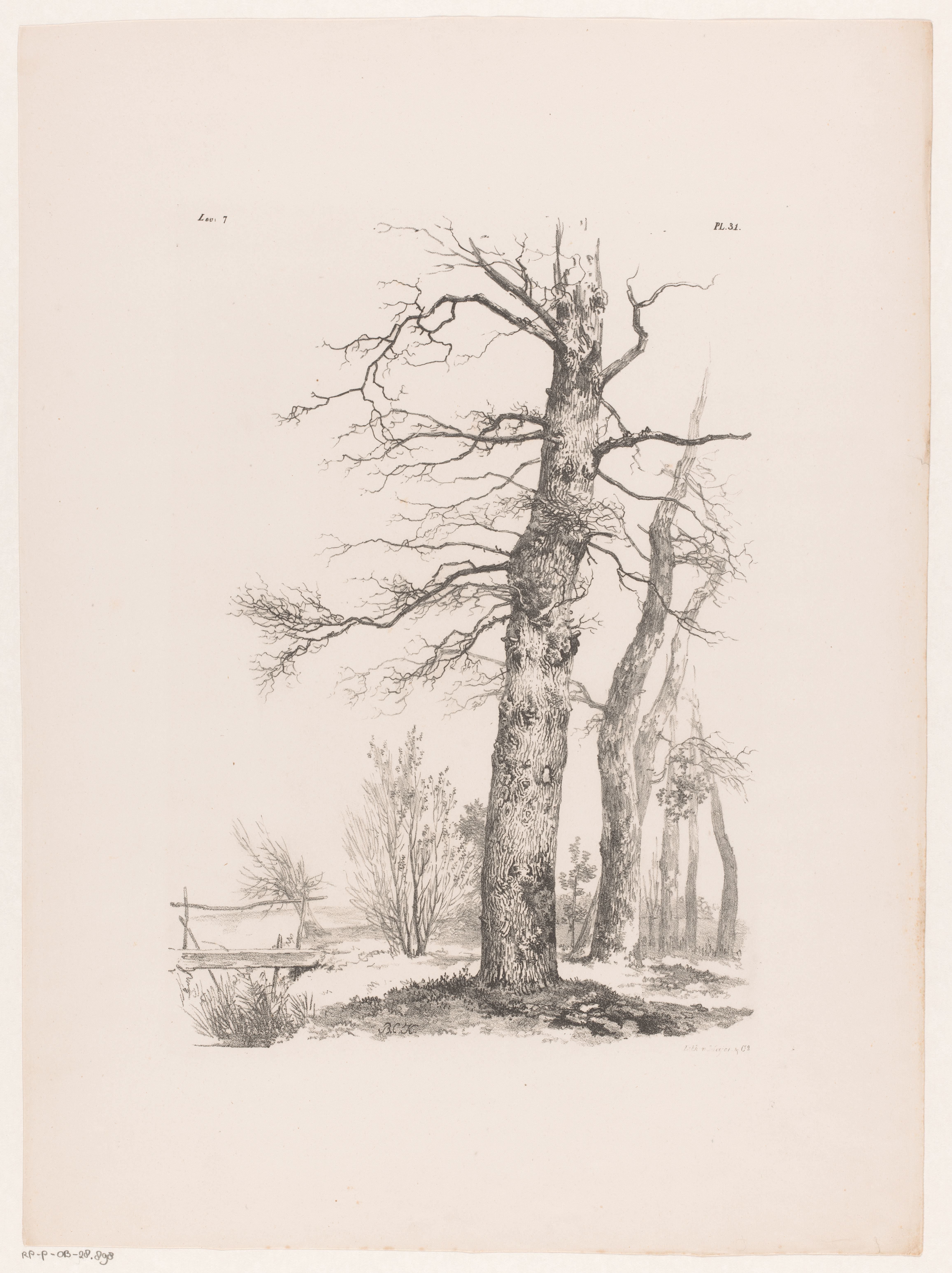 Bomen en brug in landschap