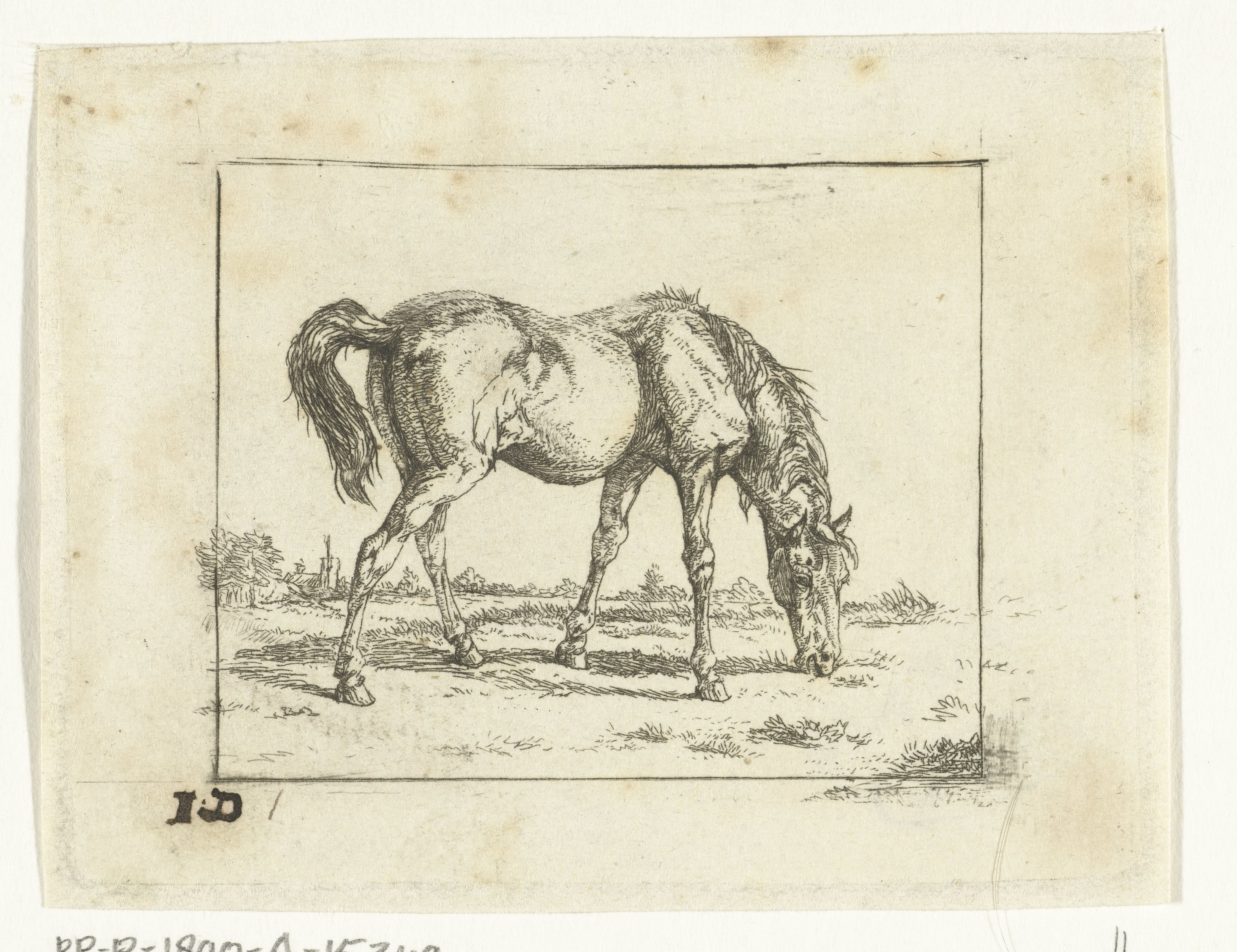 Grazend paard naar rechts