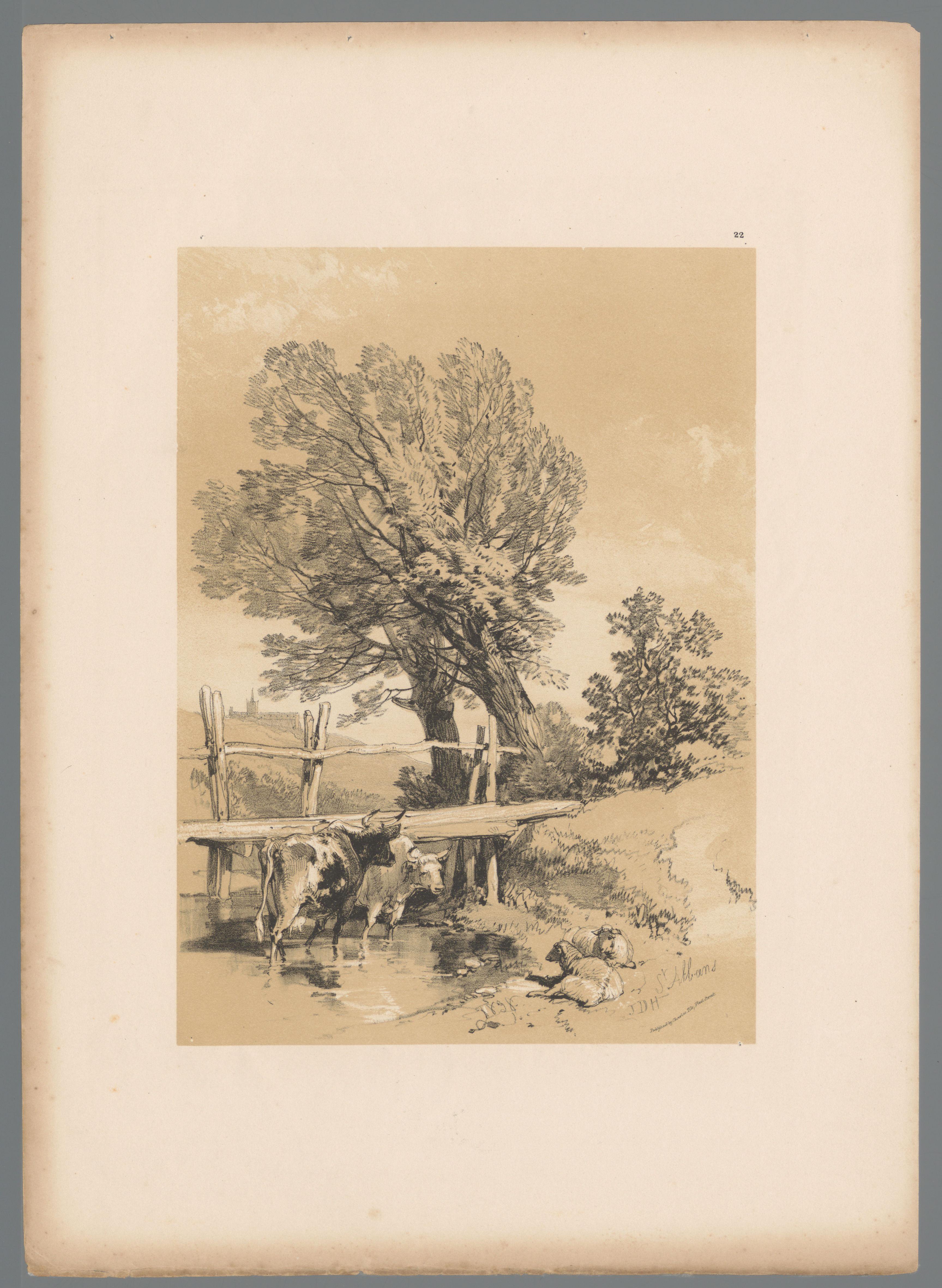 Landschap met vee bij St. Albans