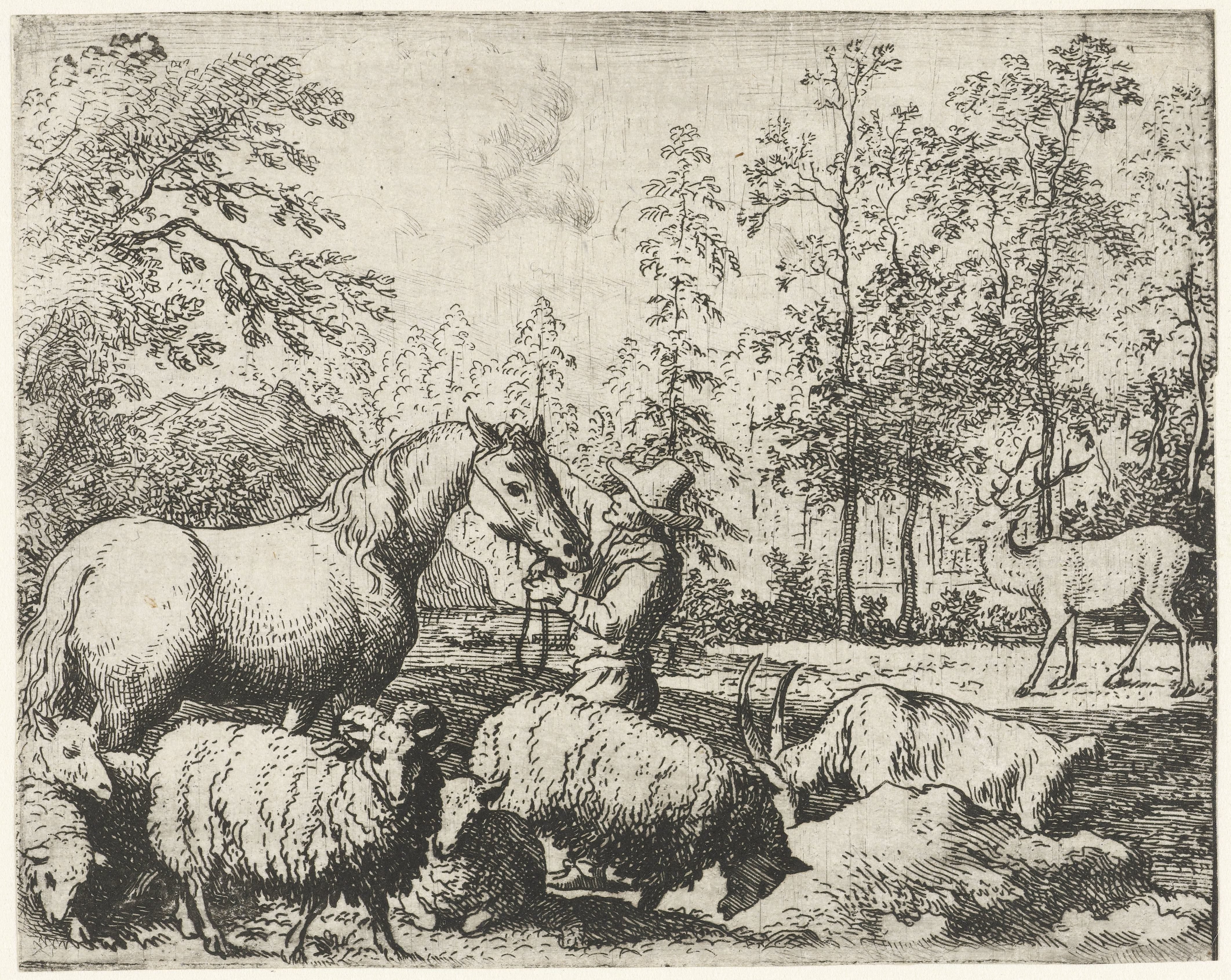Paard en ruiter
