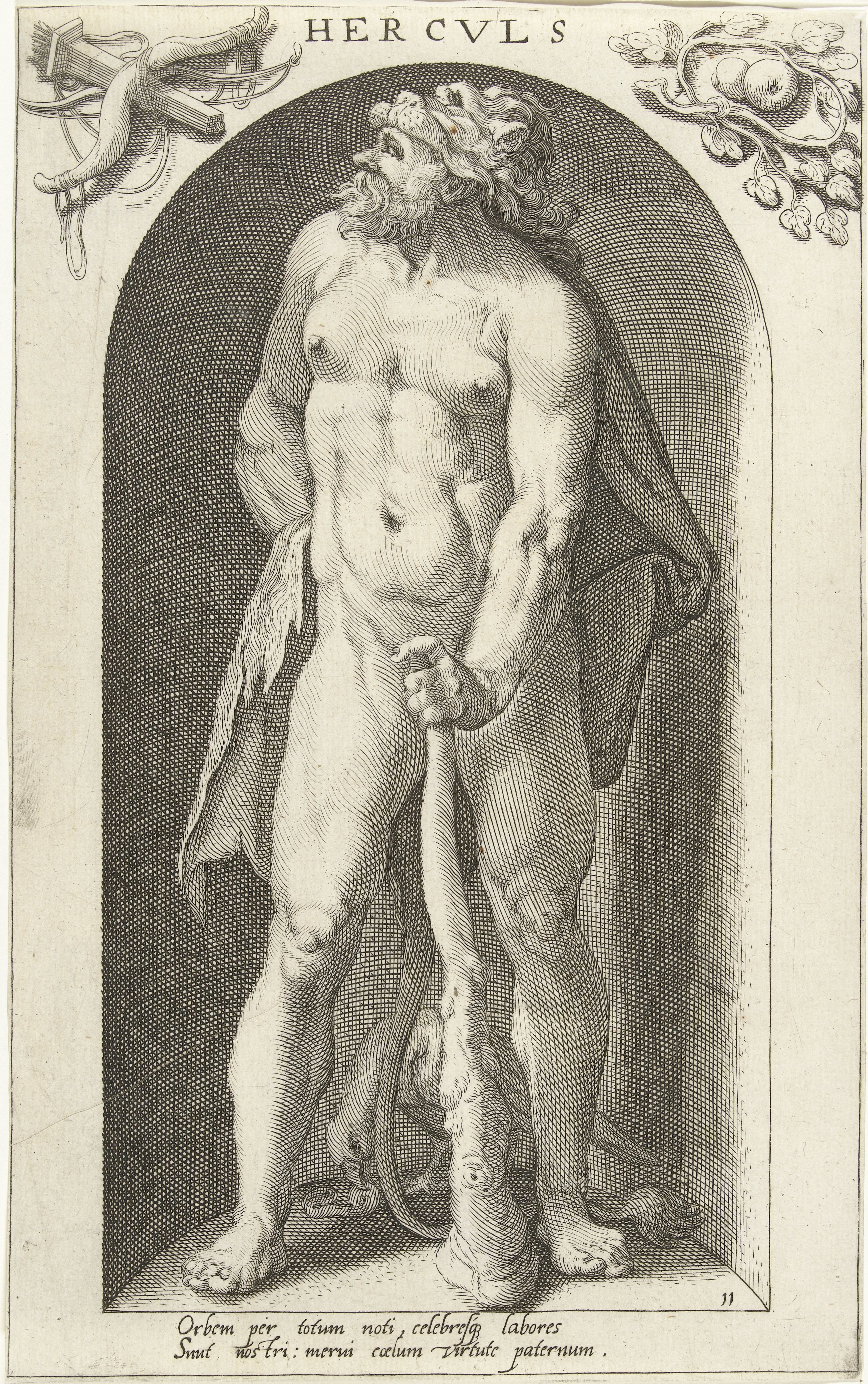 Hercules