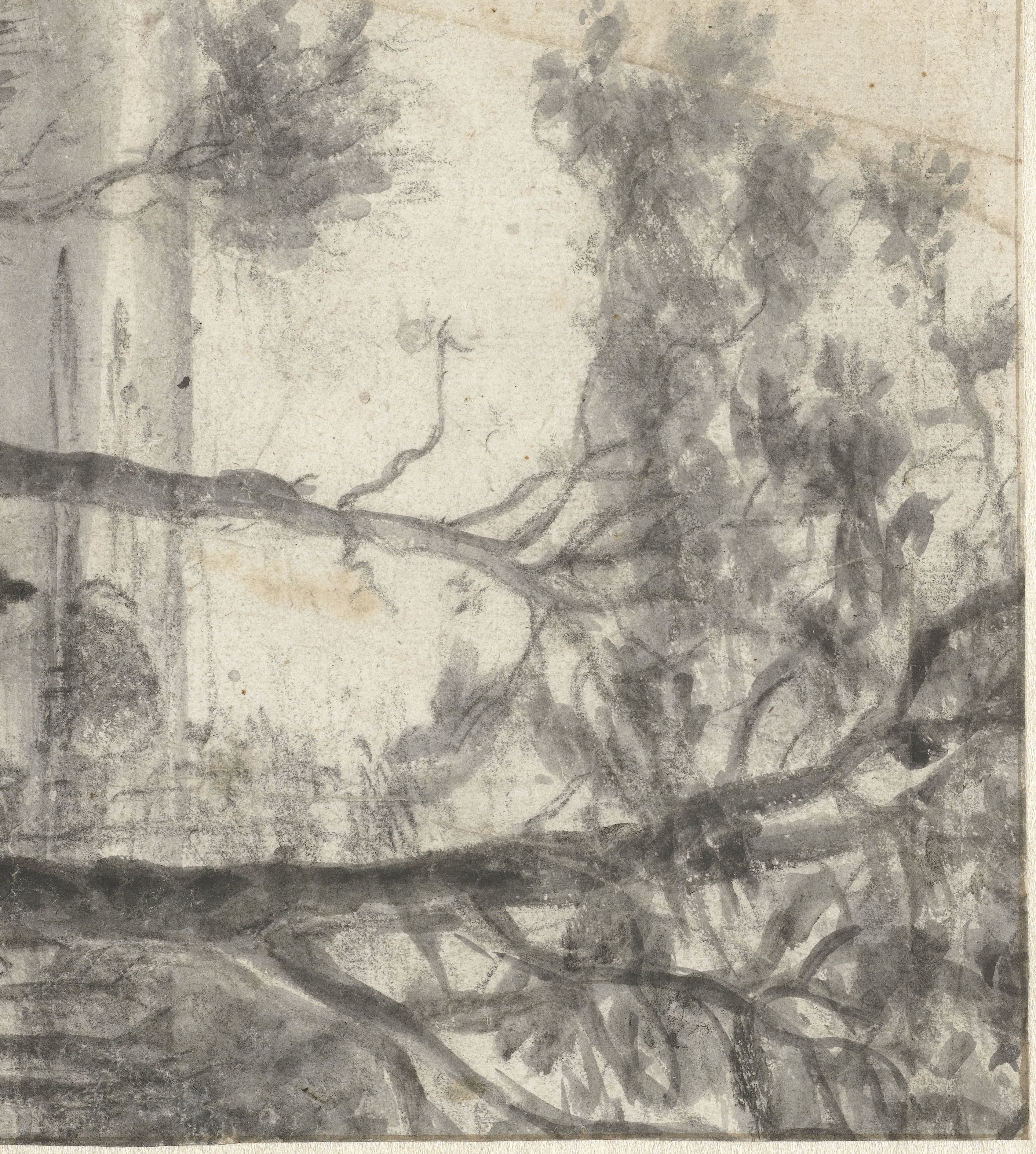 Wooded Coastal Landscape