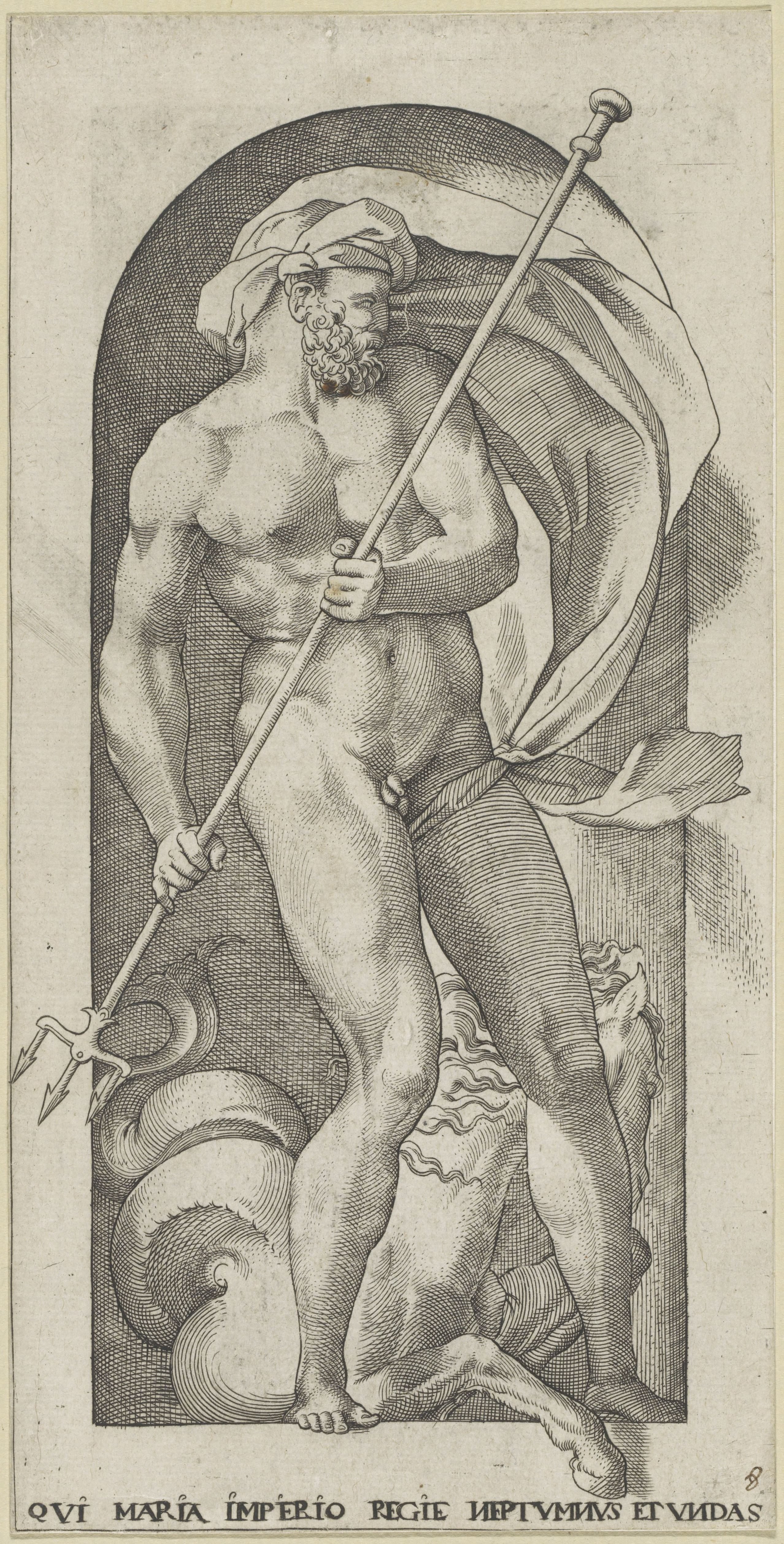 Neptunus