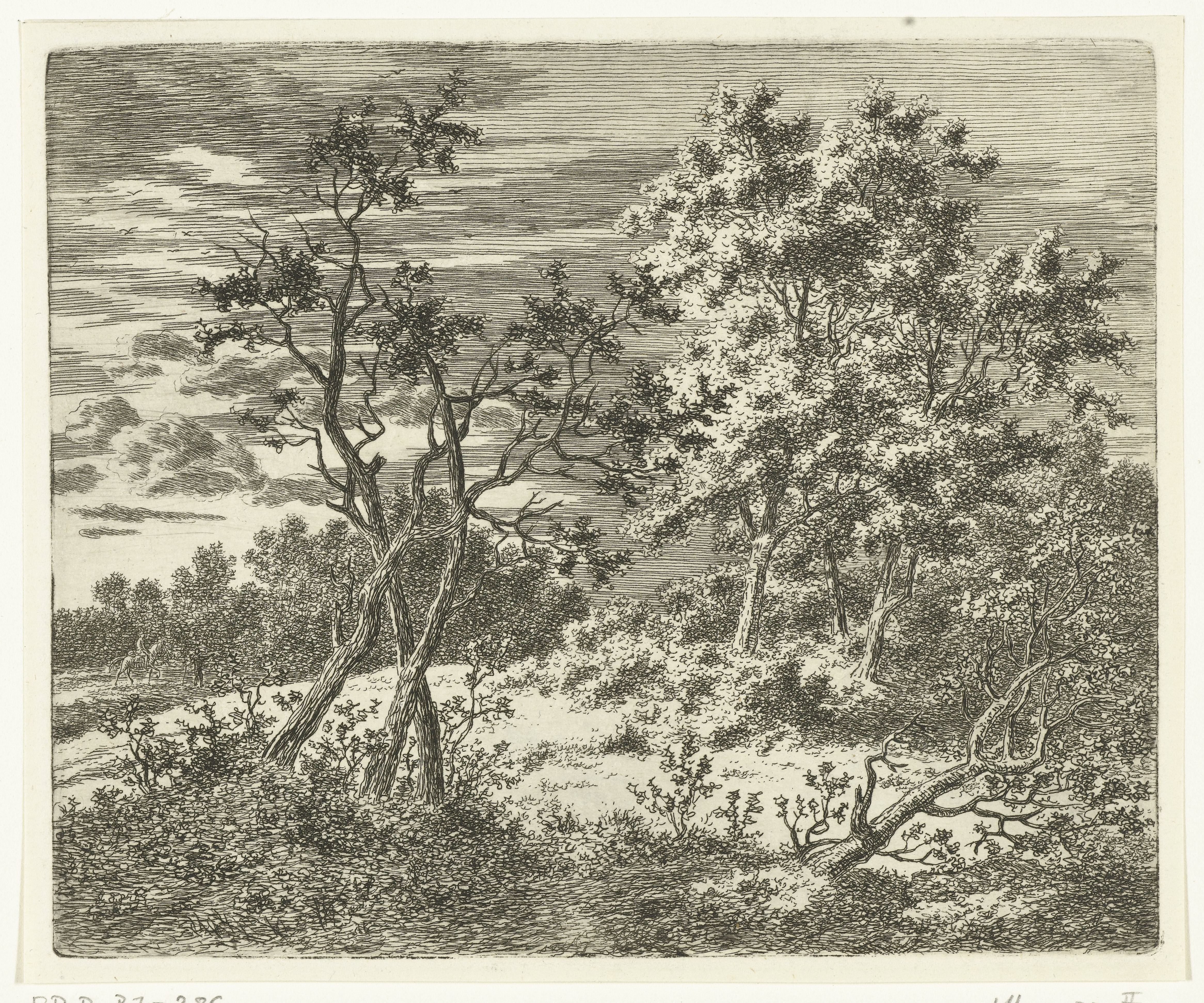 Boomrijk landschap met ruiter en voetganger