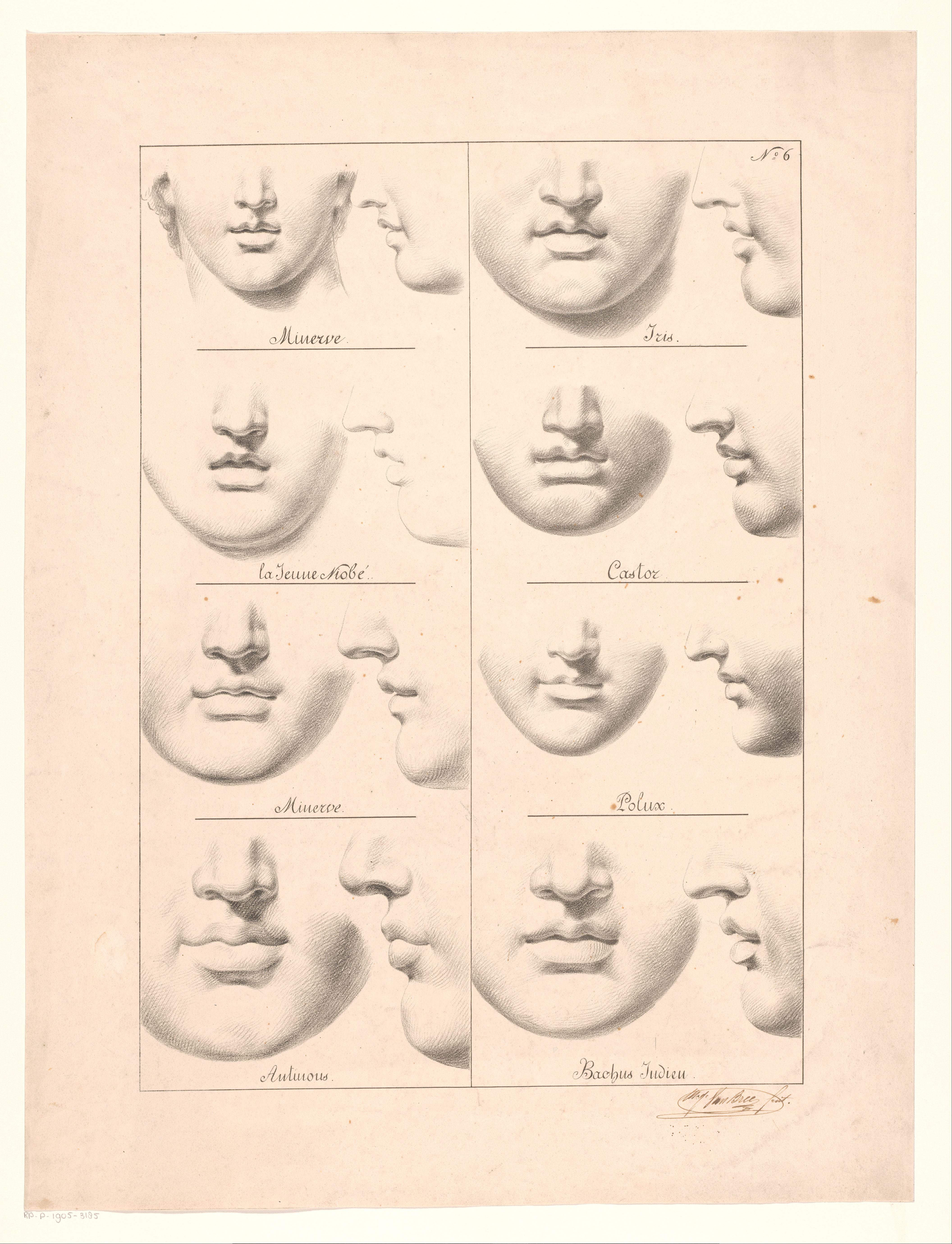 Studies van monden en neuzen