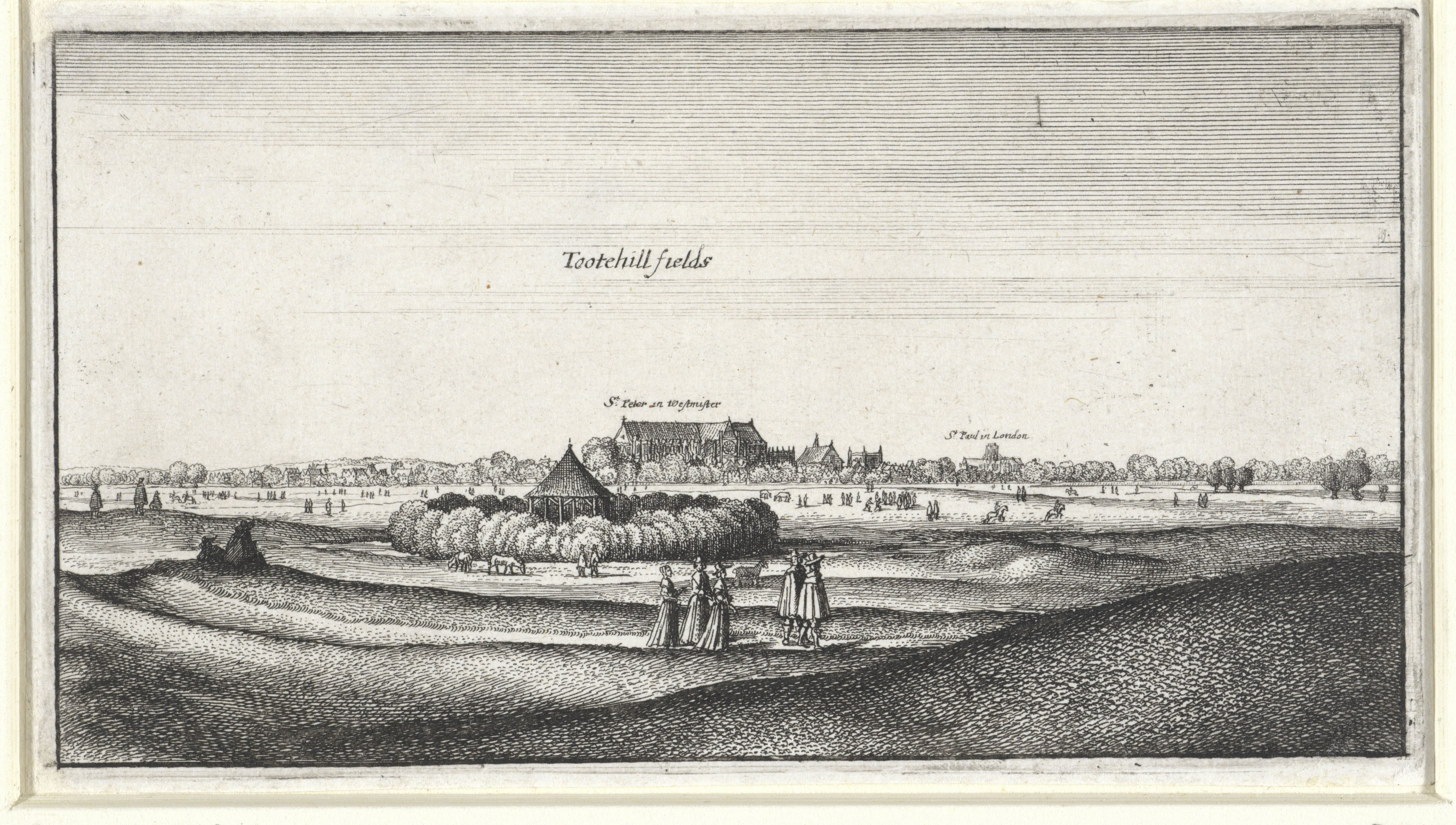 Gezicht op Tothill Fields