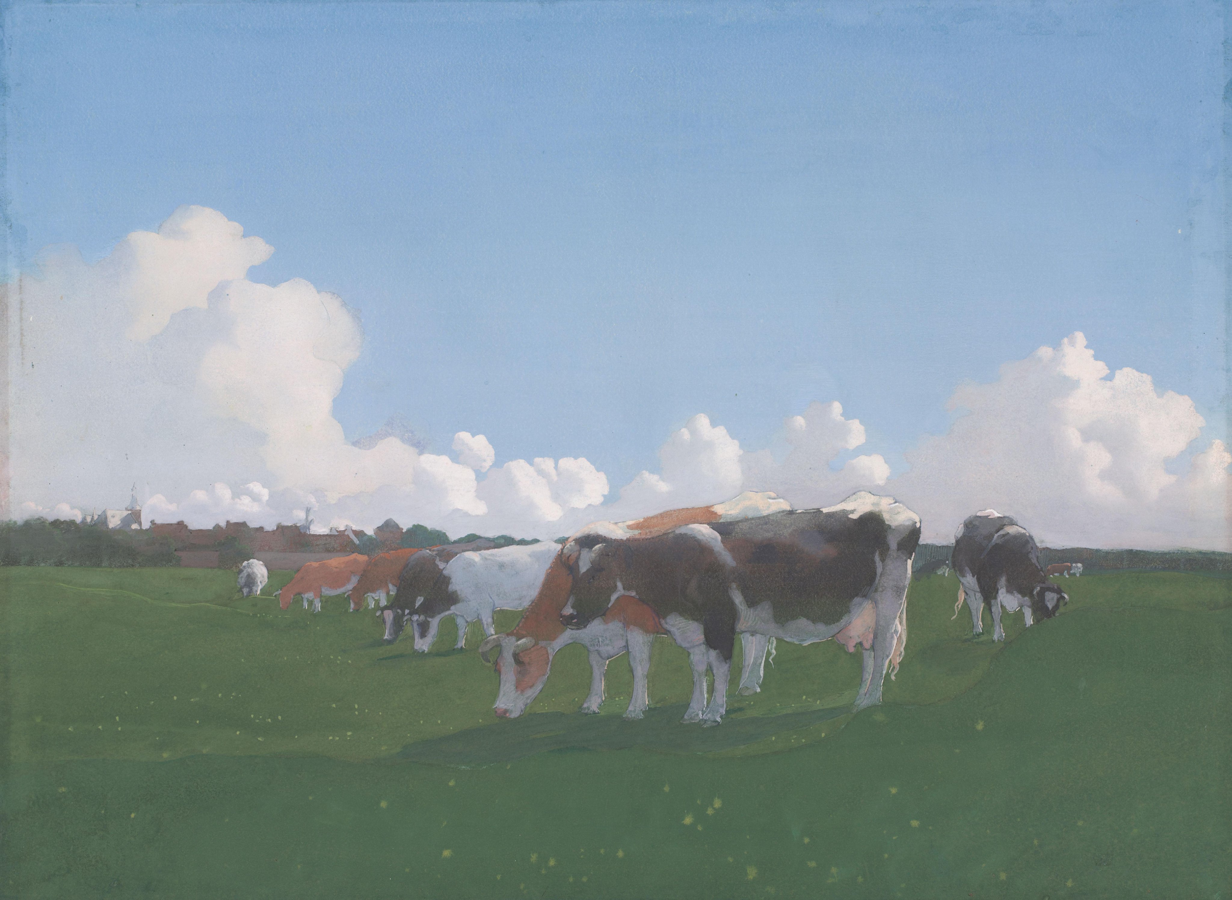 Grazende koeien in een weiland