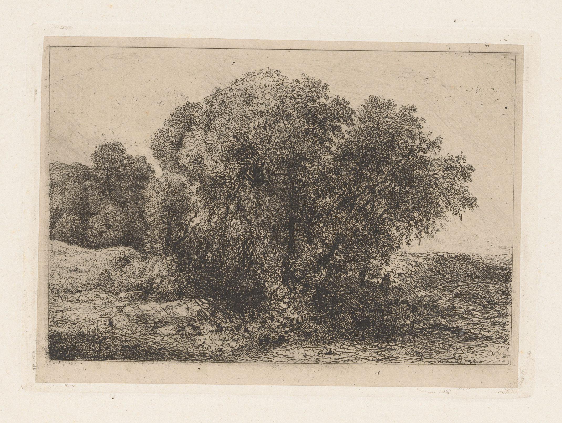 Groep bomen met een figuur