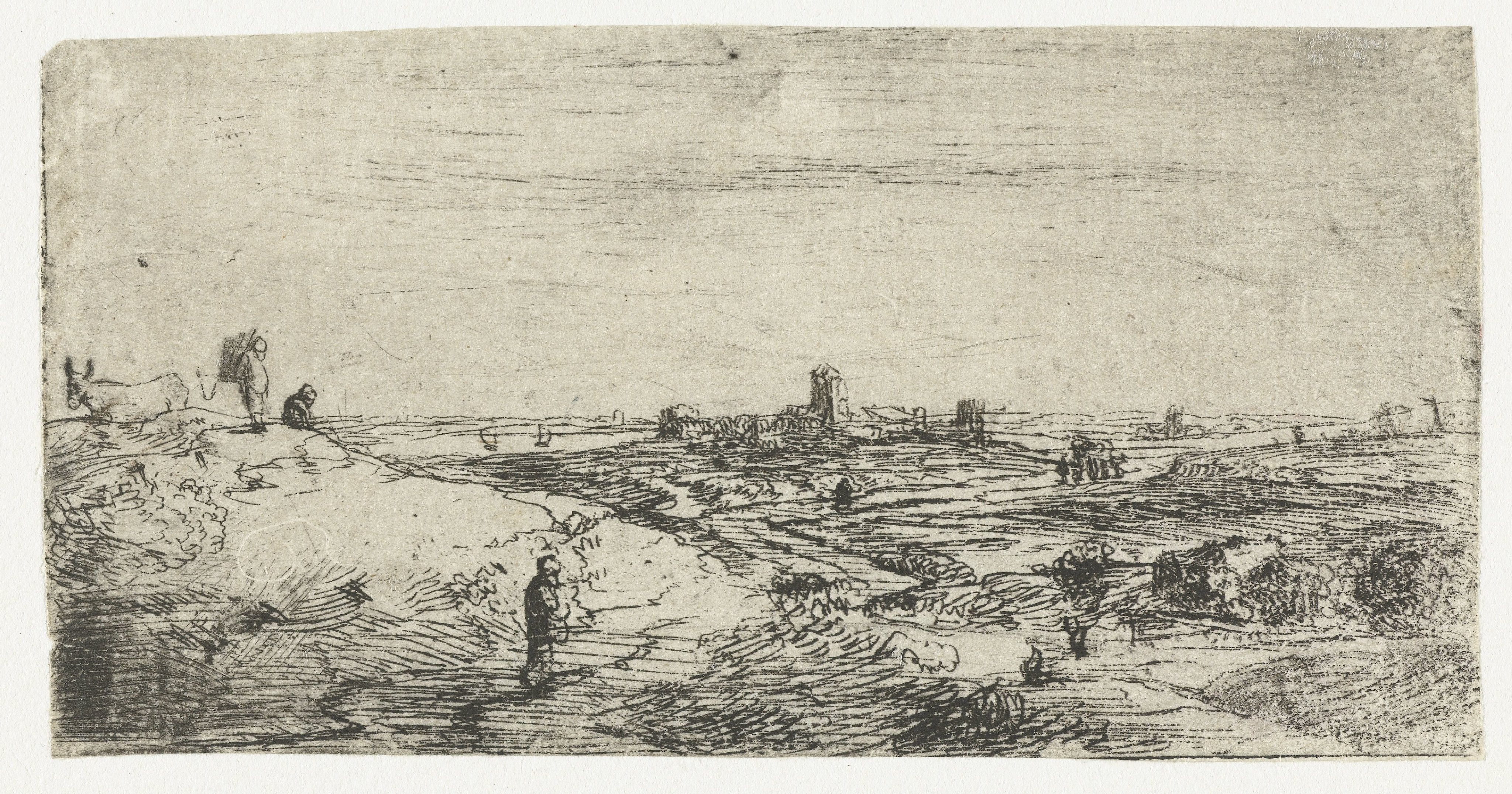 Landschap met een koe
