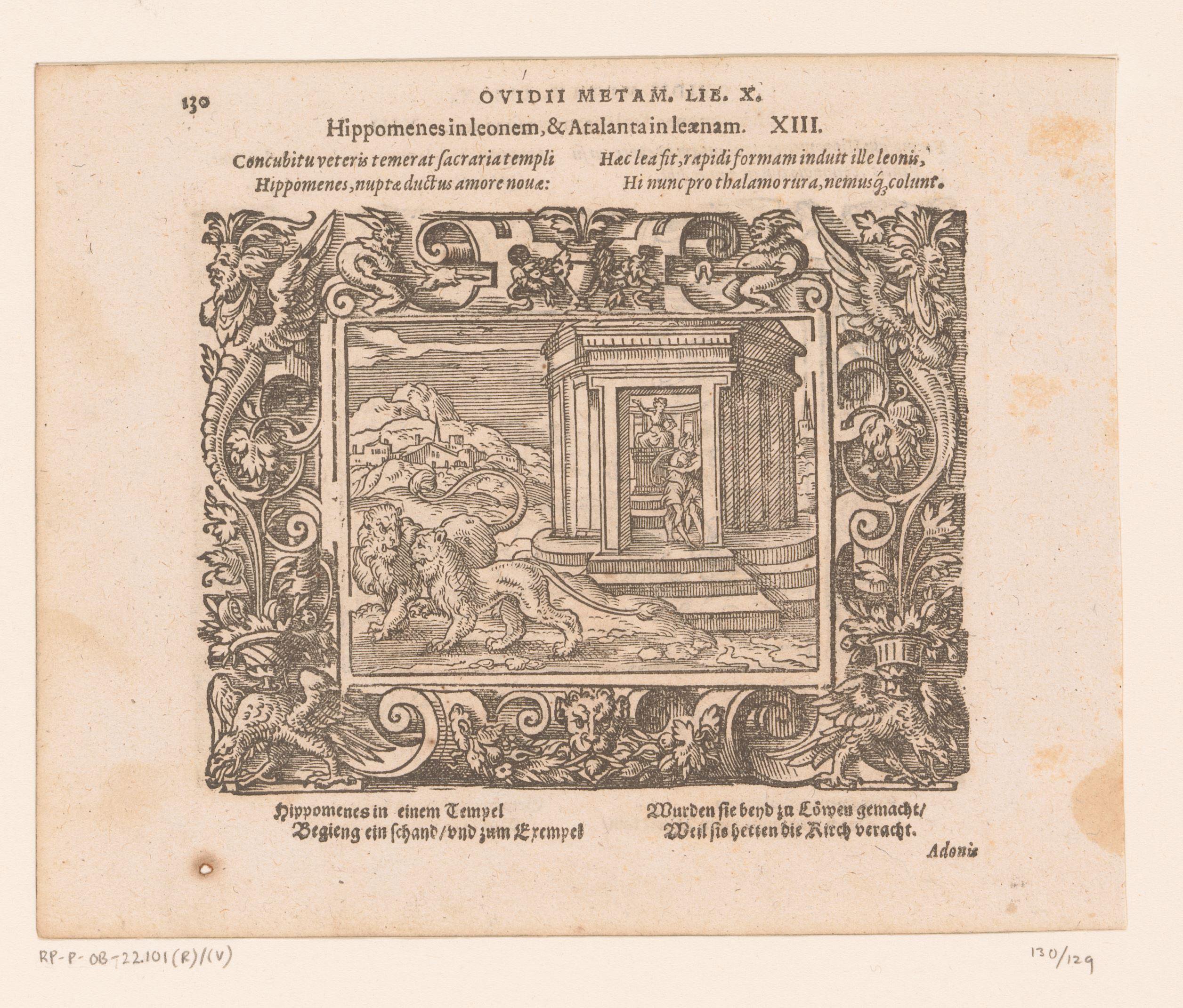 Atalanta en Hippomenes in leeuwen veranderd