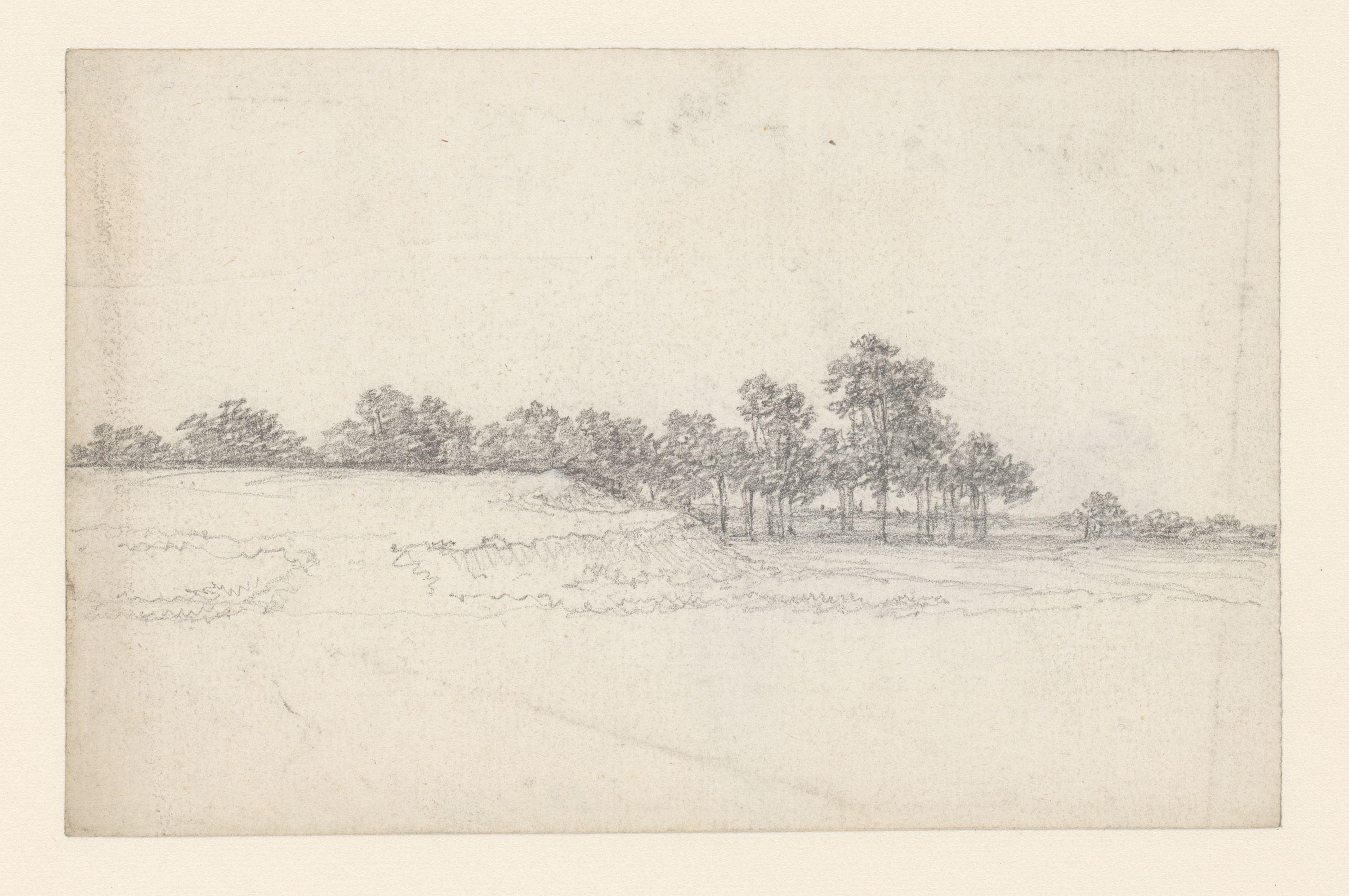 Terreinplooi met bomen