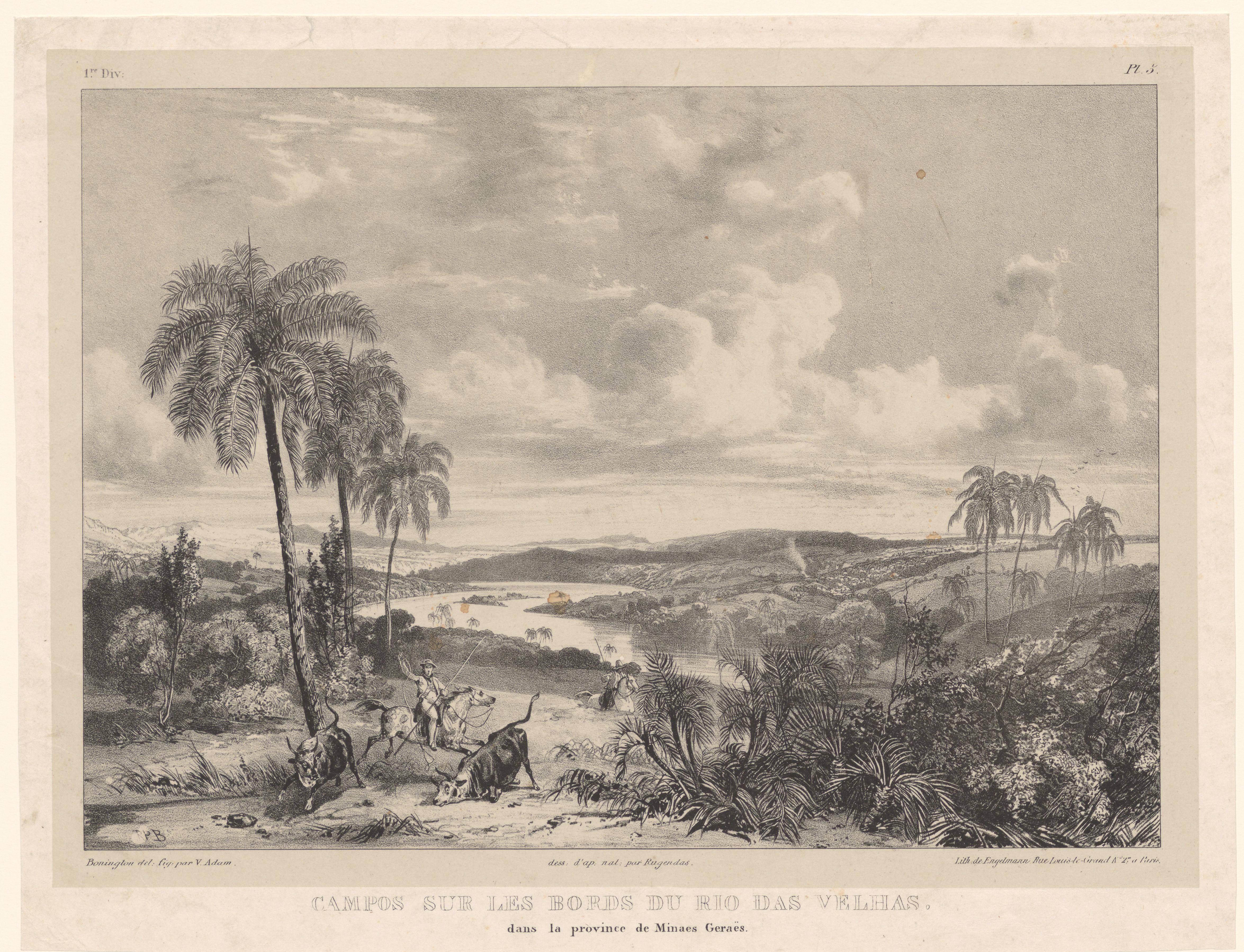 Gezicht op de oevers van de Rio das Velhas