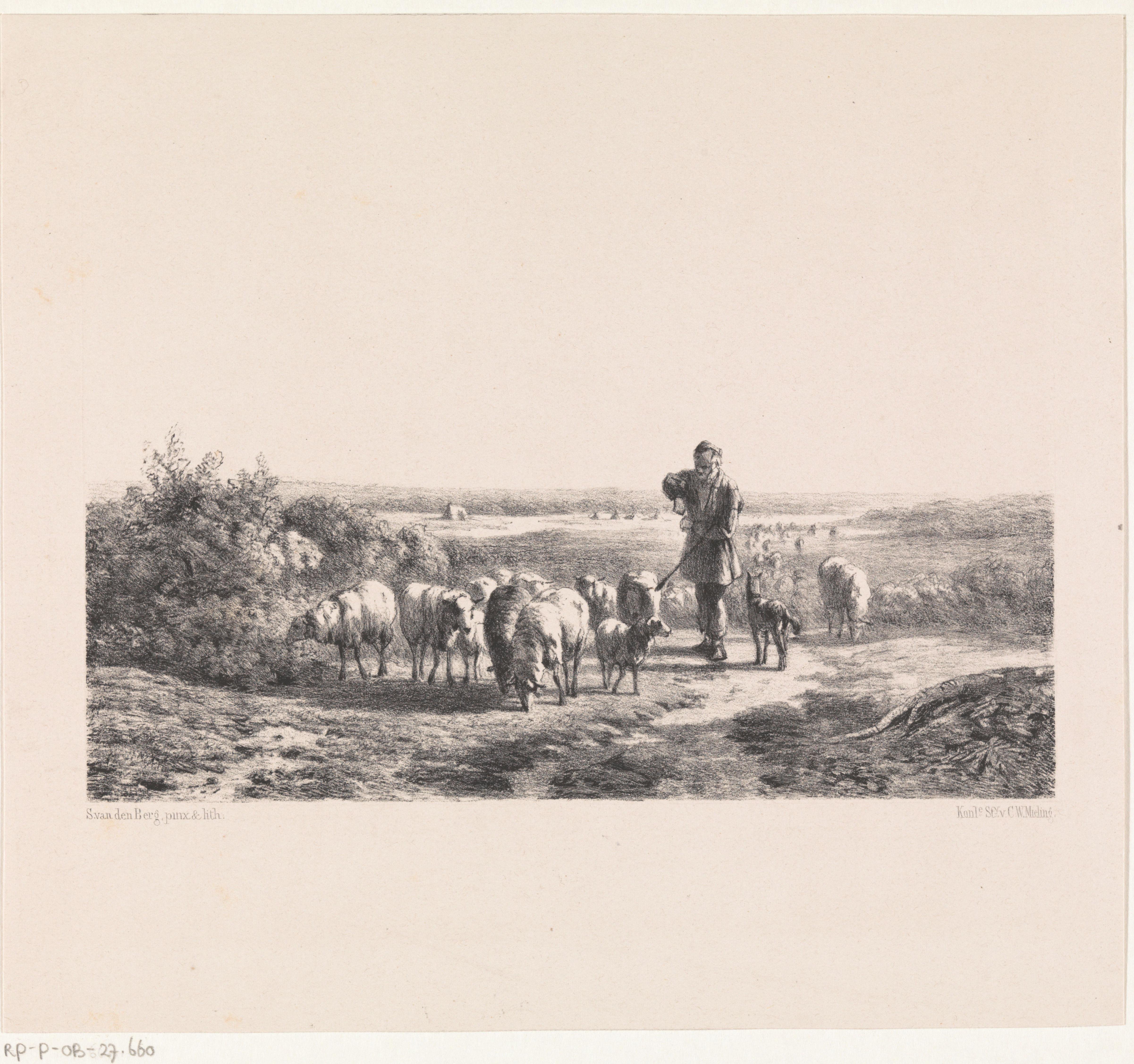 Herder met zijn schapen op de hei