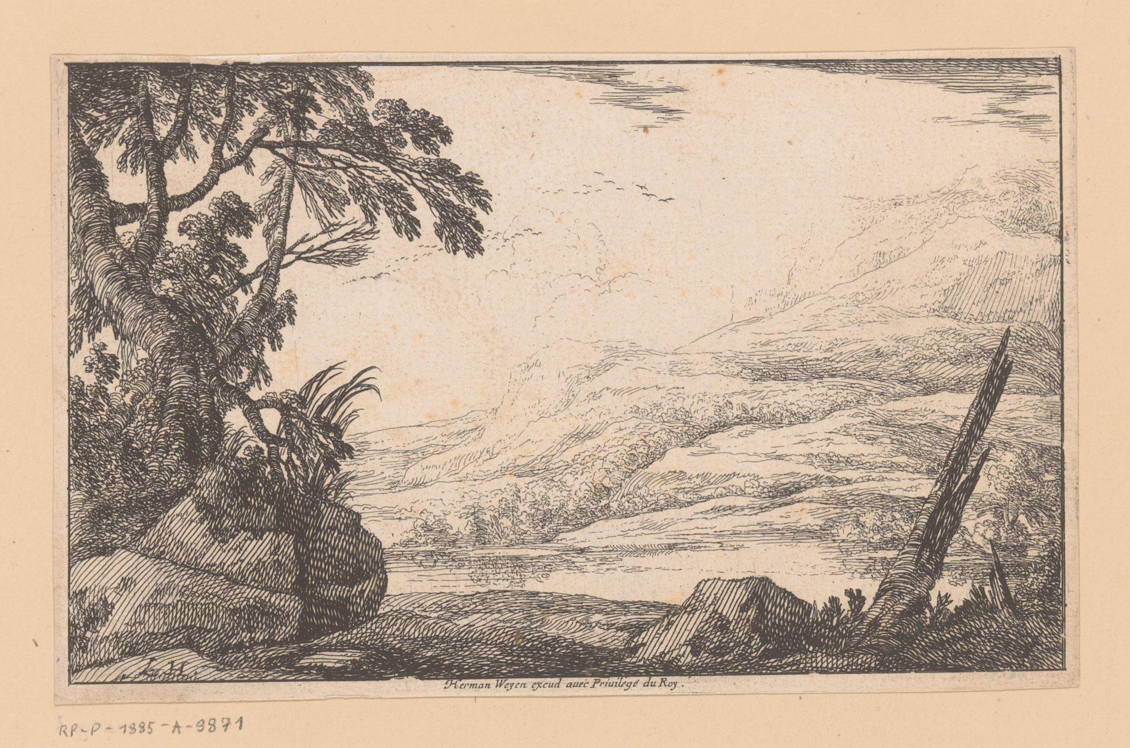 Landschap met zicht op een berg