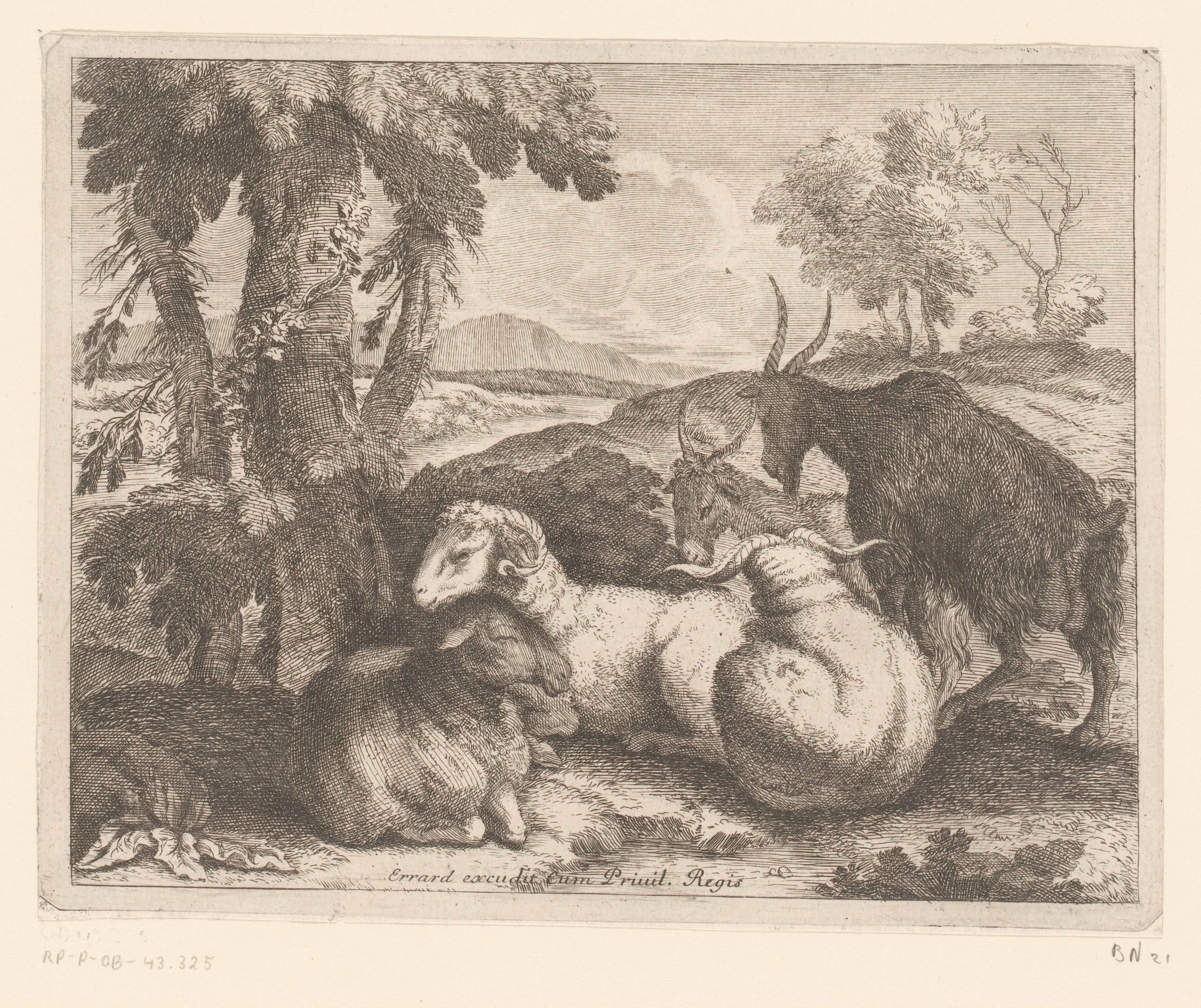 Schapen en geiten onder een boom