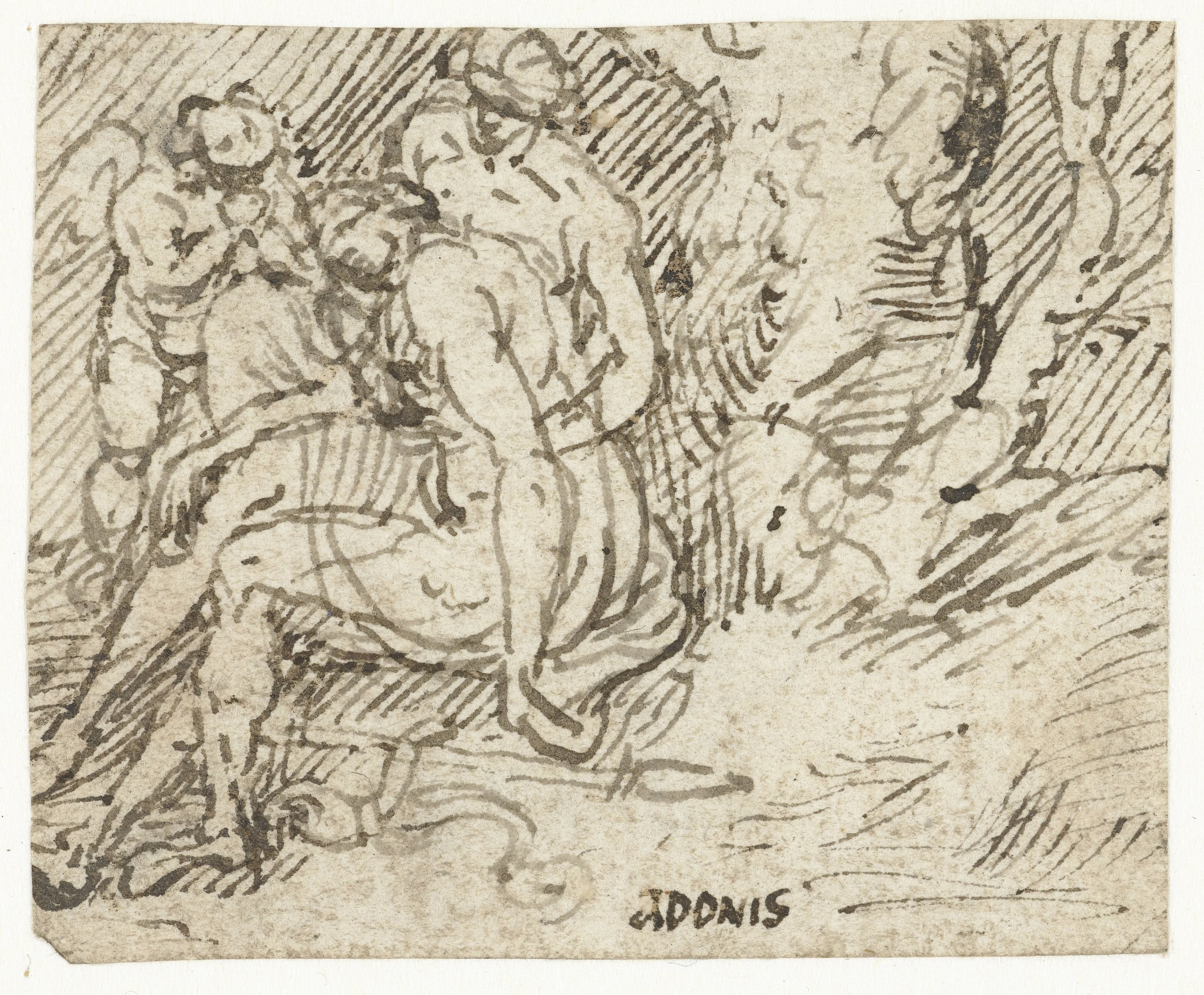 Venus, Cupido en Adonis