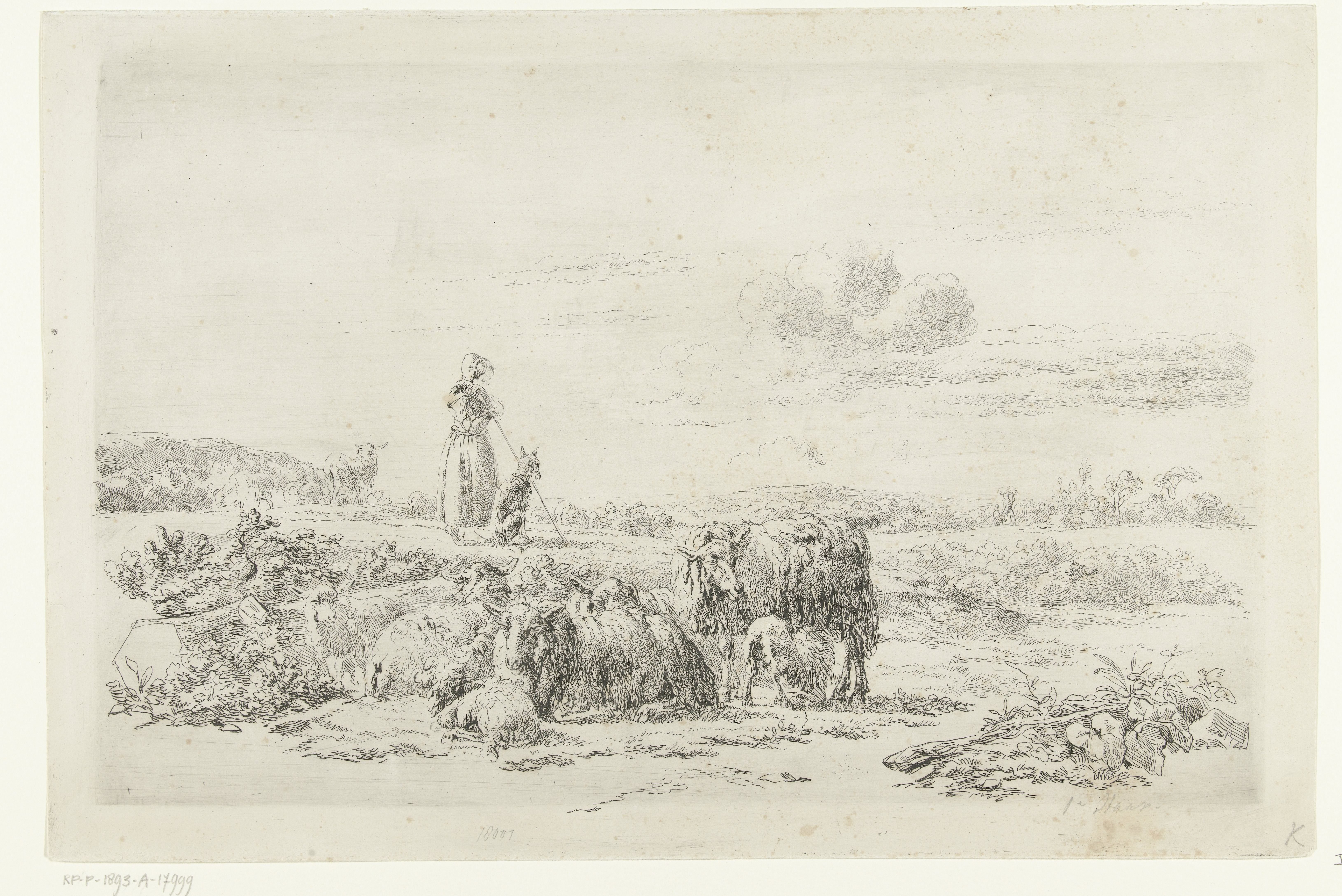 Landschap met herderin en hond bij kudde schapen