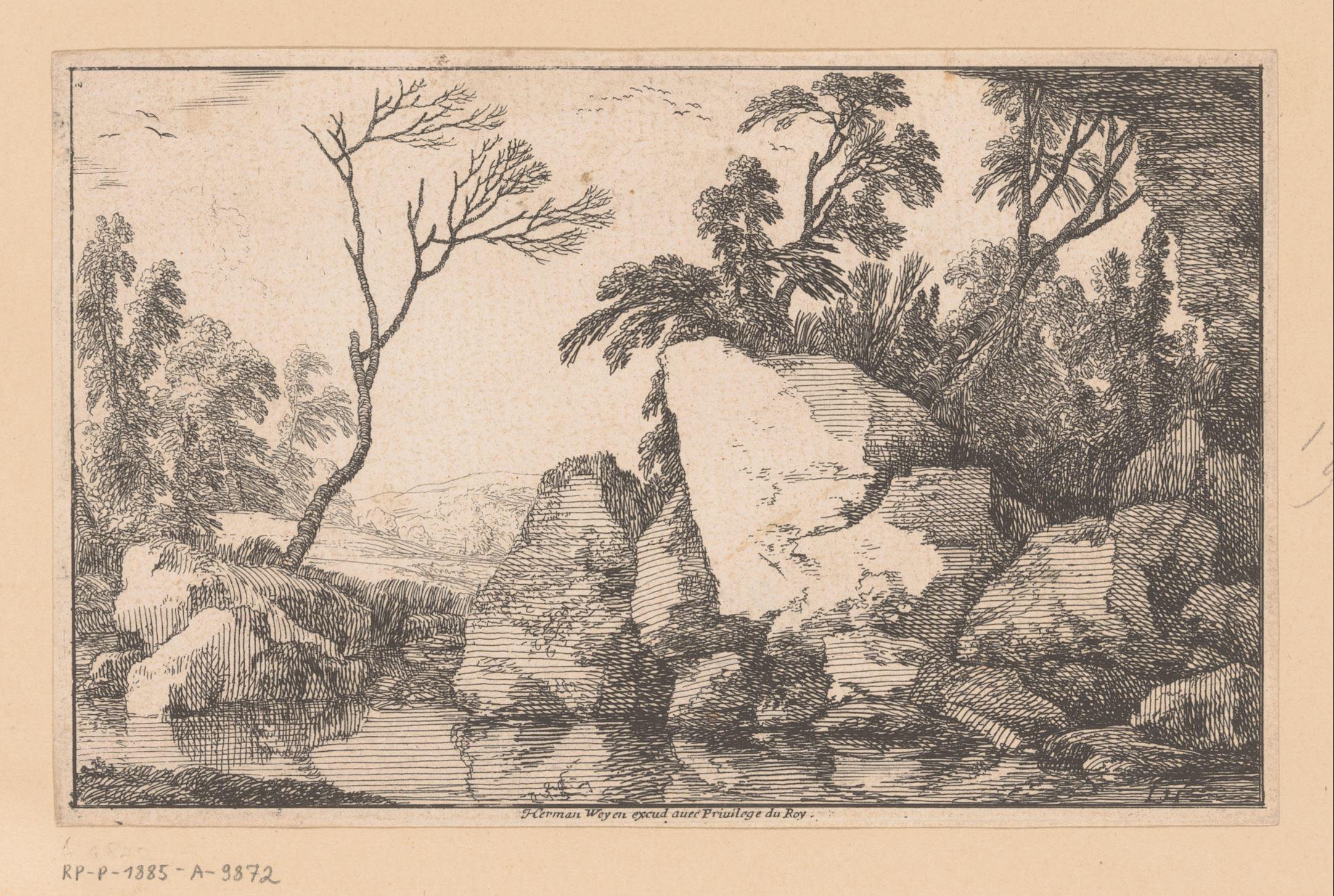 Landschap met verdorde boom