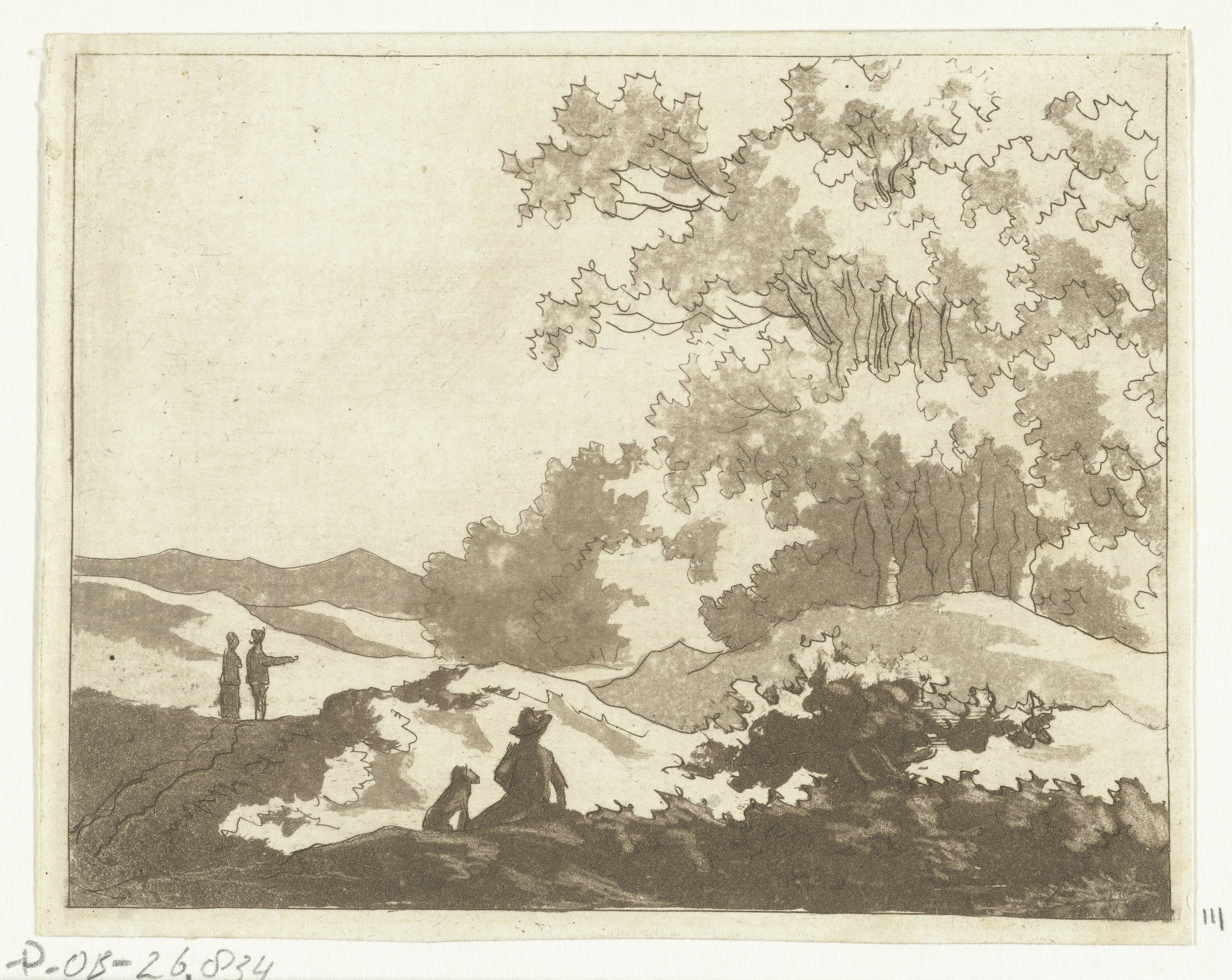 Duinlandschap