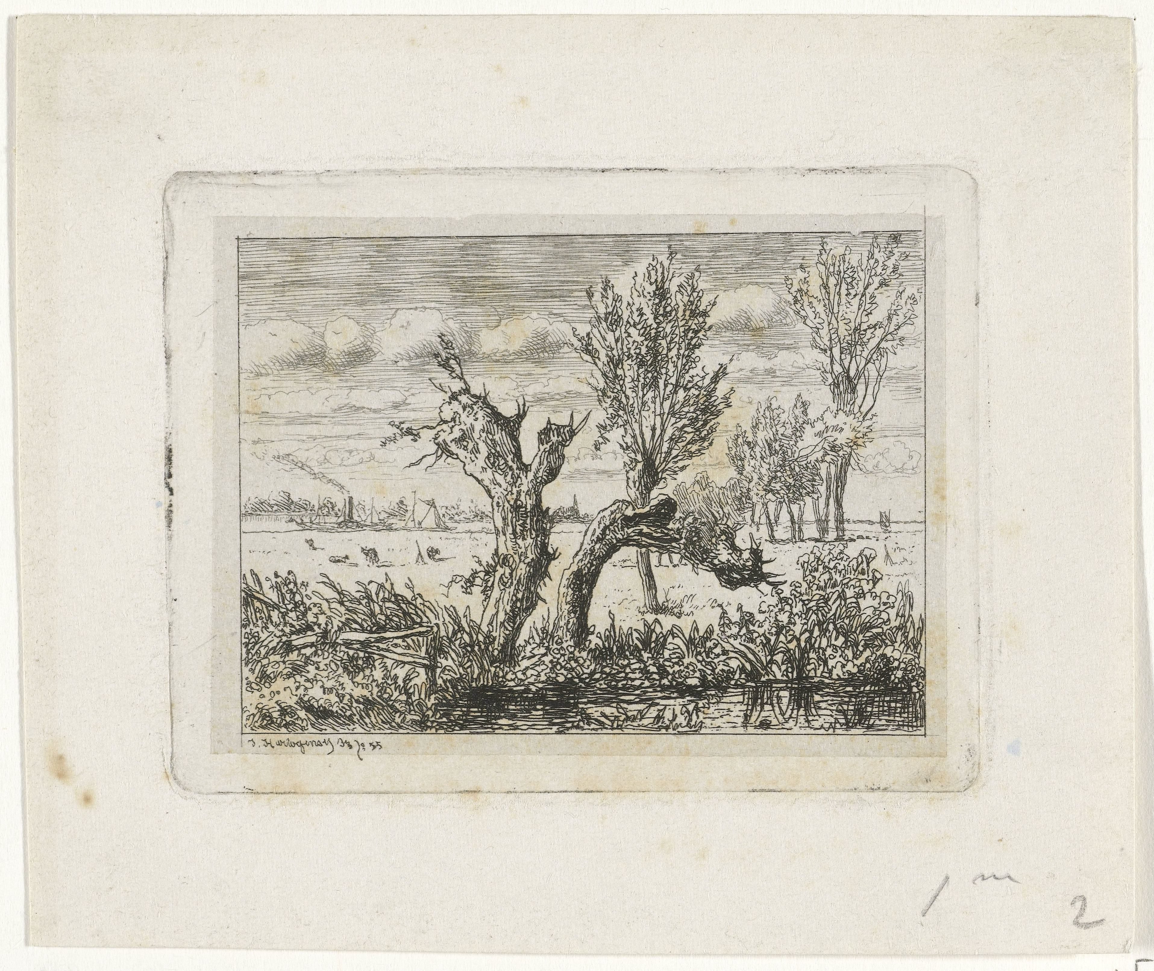 Landschap met knotwilgen