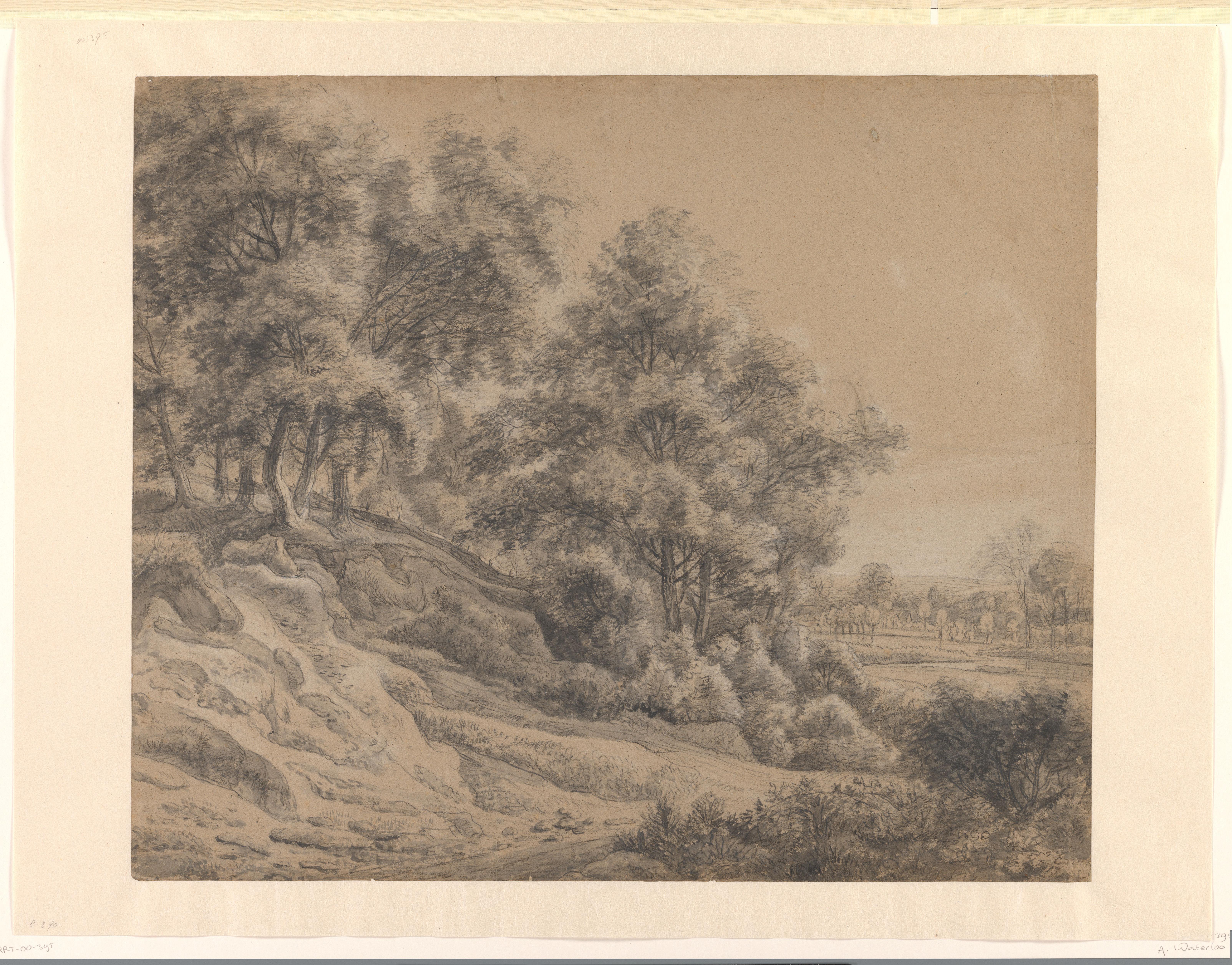 Bomen in een heuvelachtig landschap