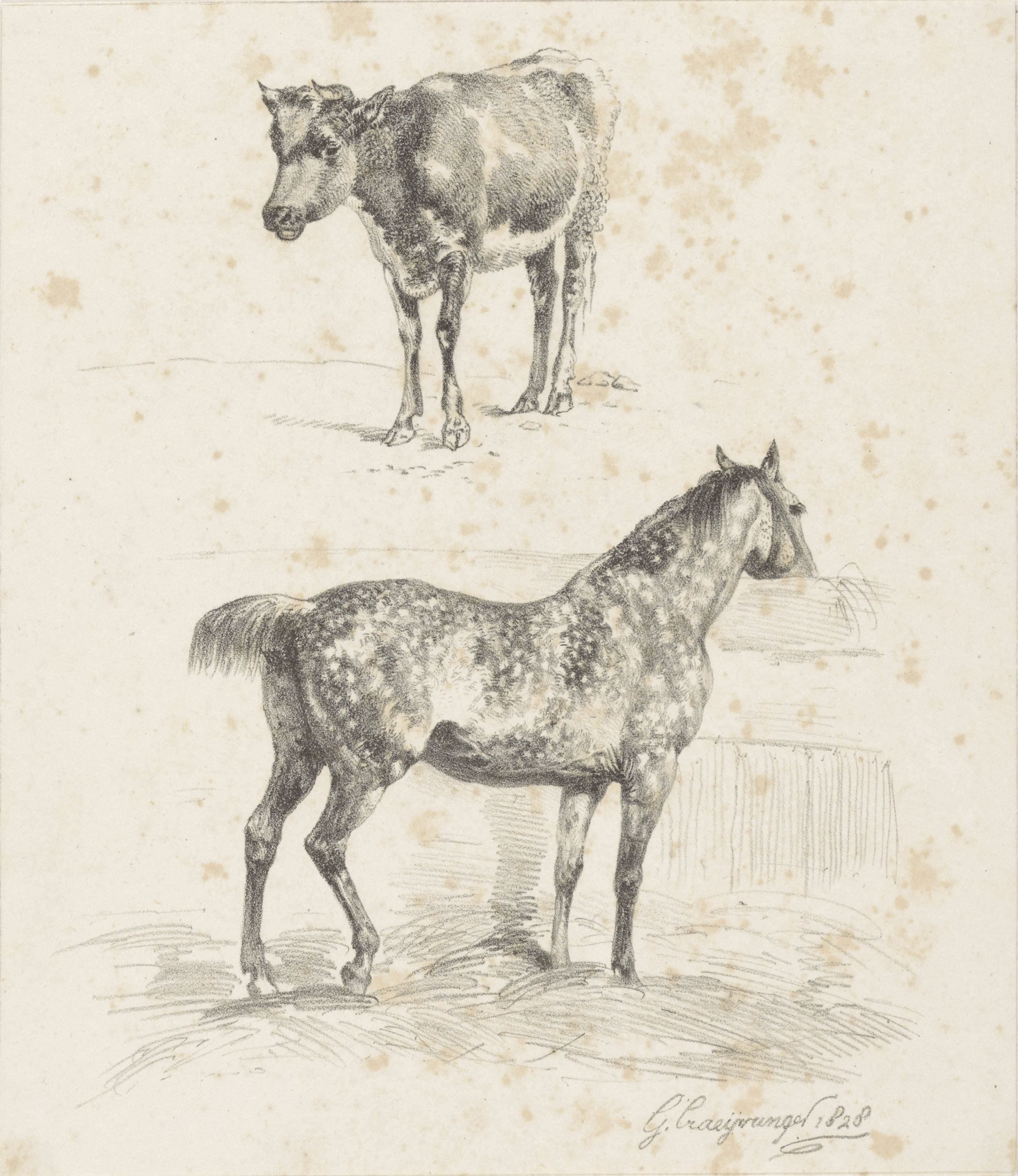 Kalf en paard in stal