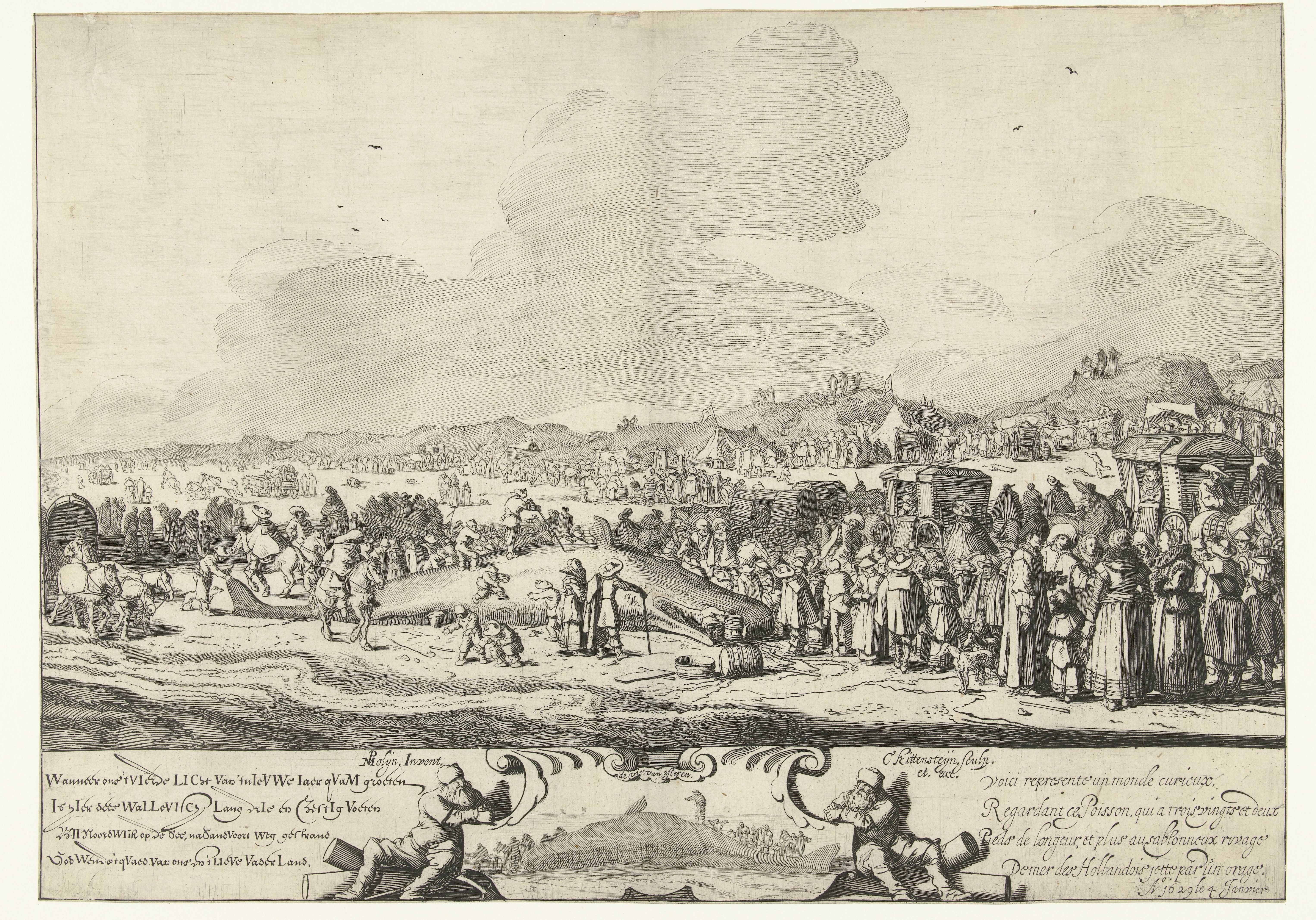 De Walvis gestrand tussen Noordwijk en Zandvoort, 1629