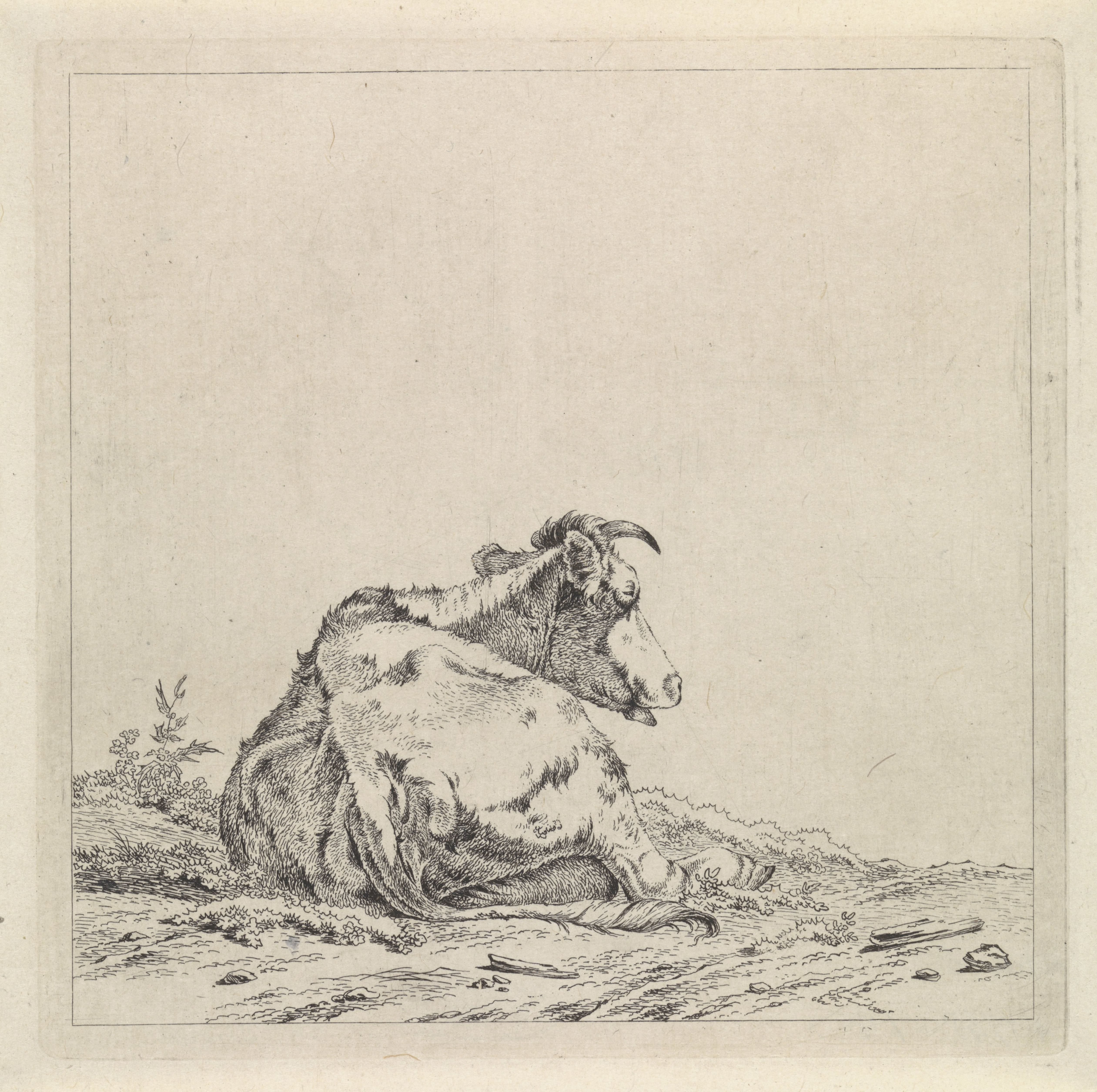 Landschap met liggende koe