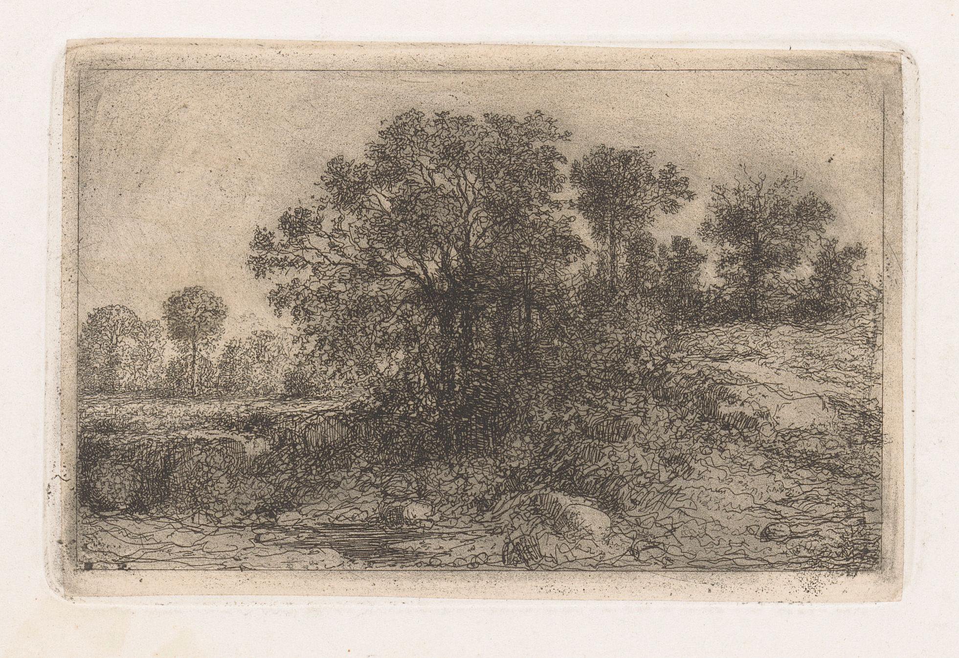 Bomen tegen een helling