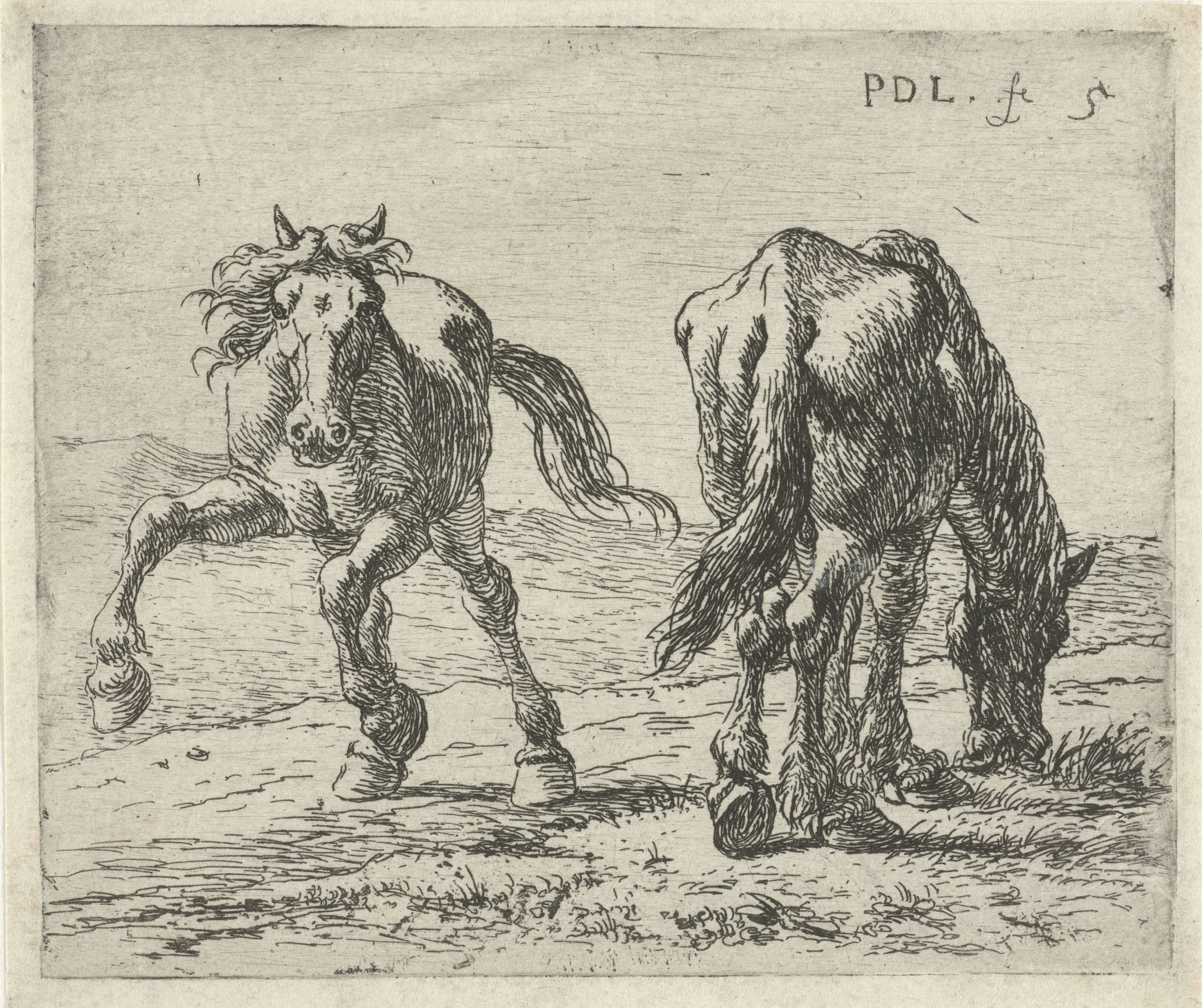 Twee paarden in een weide