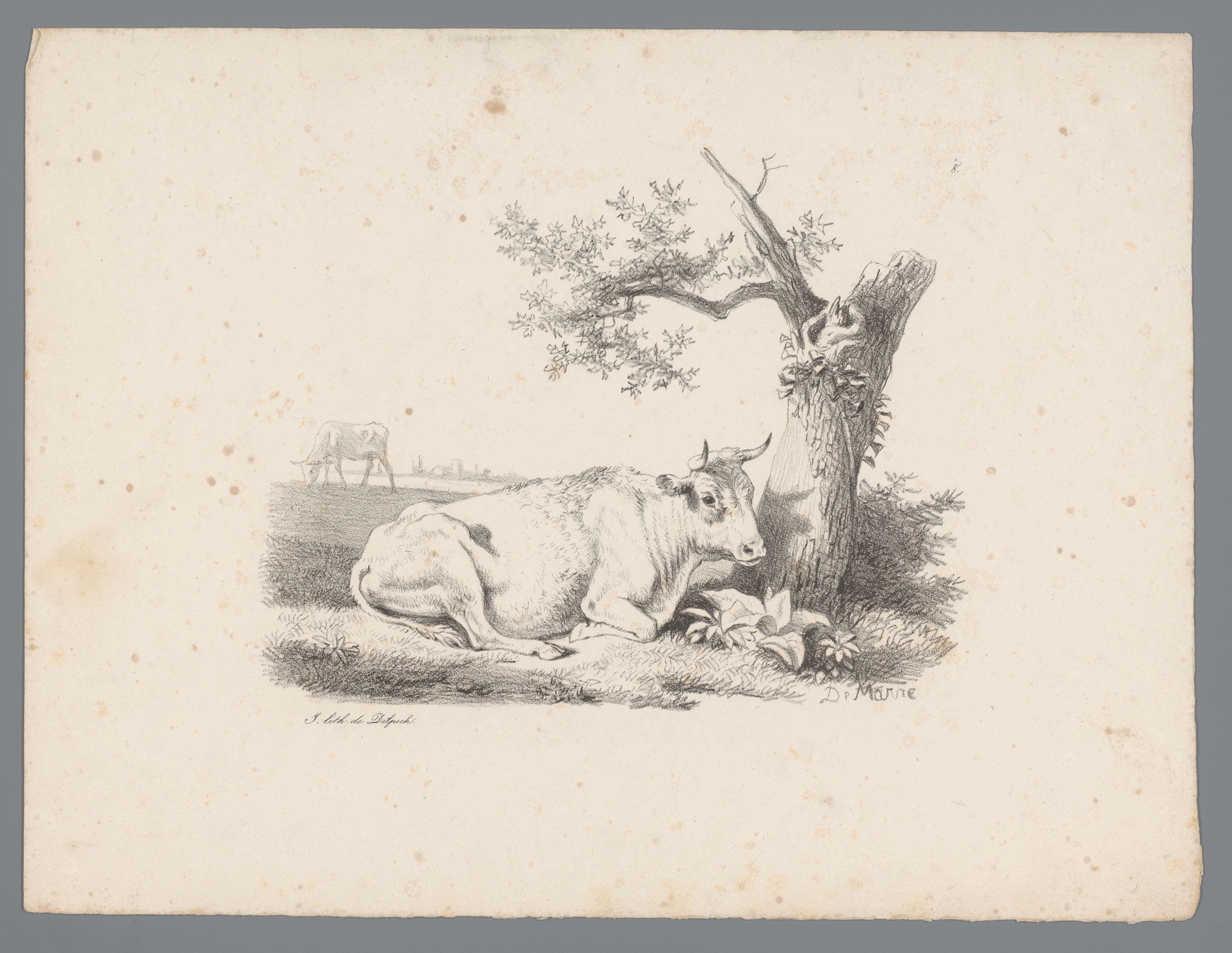 Landschap met rund liggend bij een boom