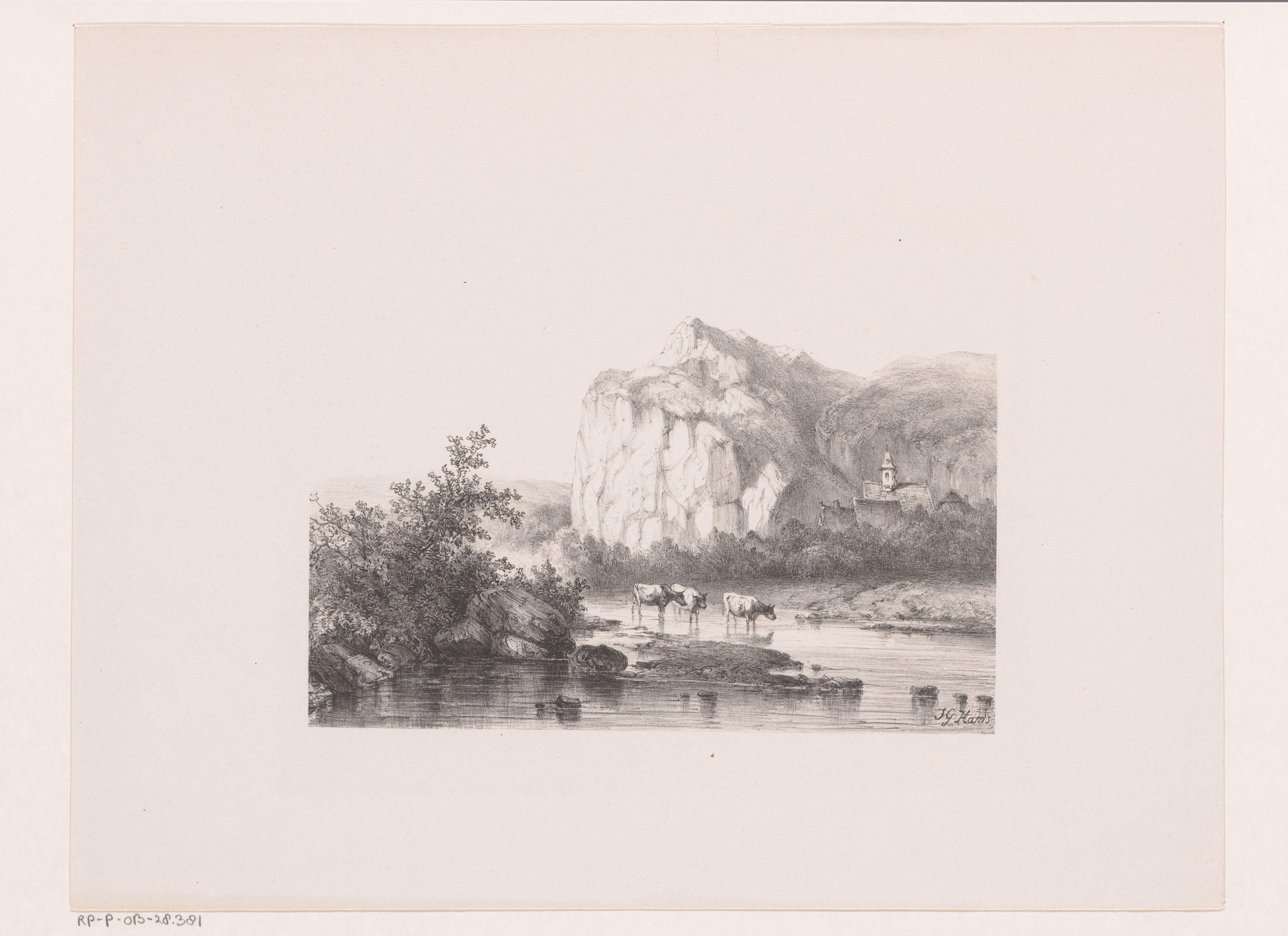 Bergachtig landschap met drie koeien in het water