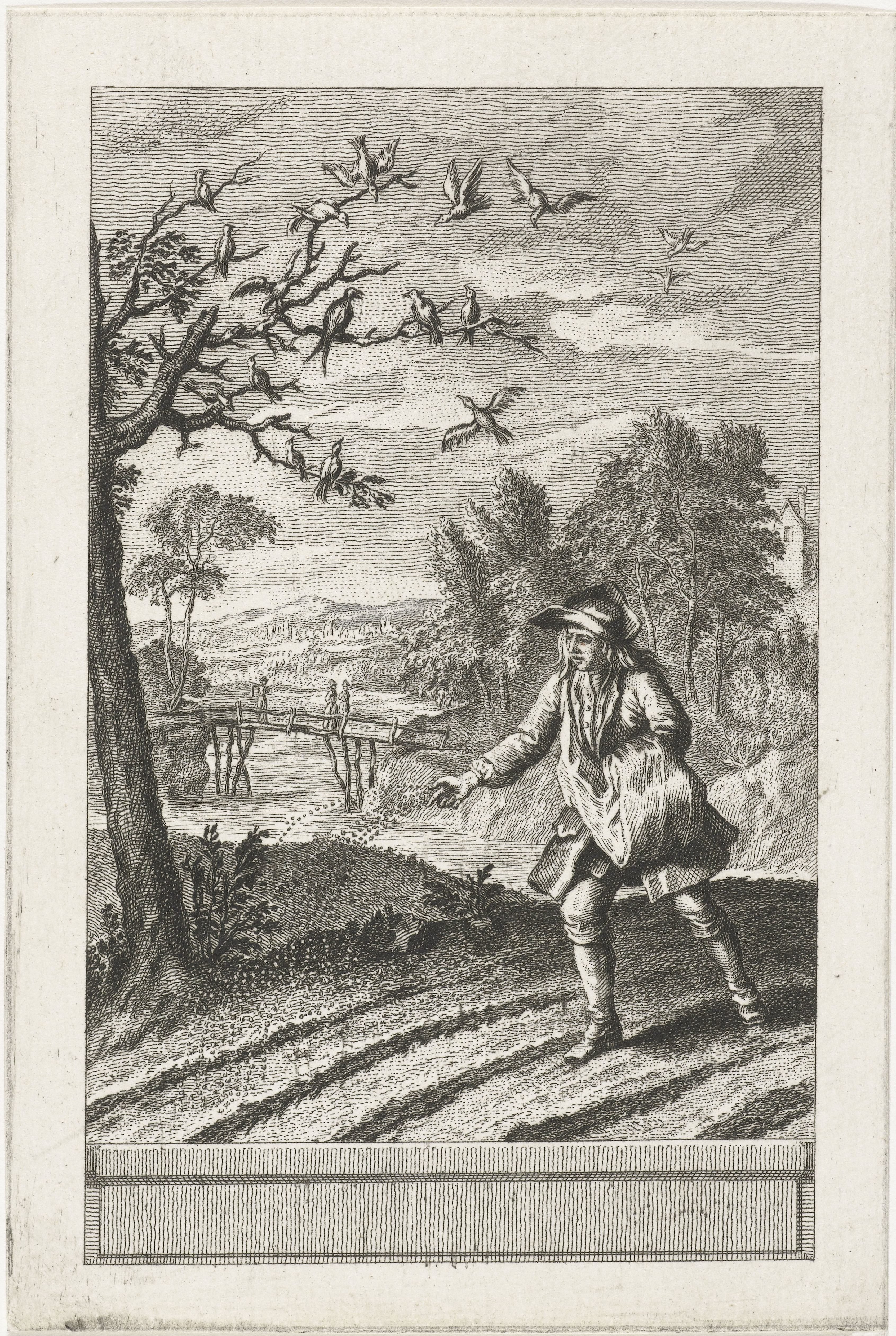 De zwaluwen en de vogeltjes
