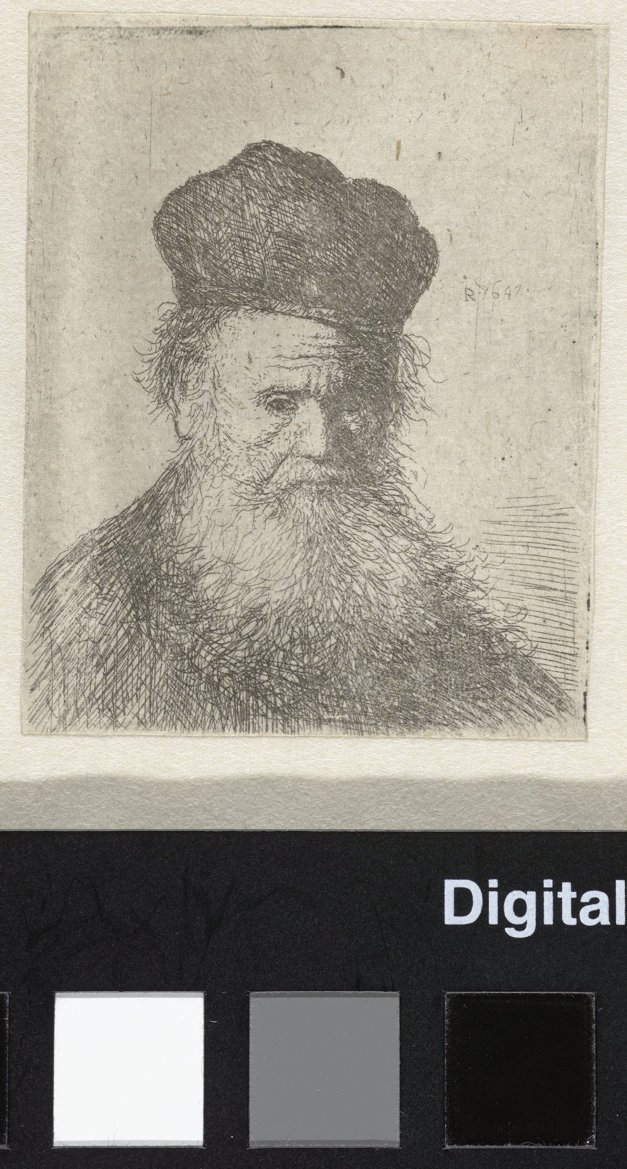 Bust of an old man with a fur cap and flowing beard, nearly full face