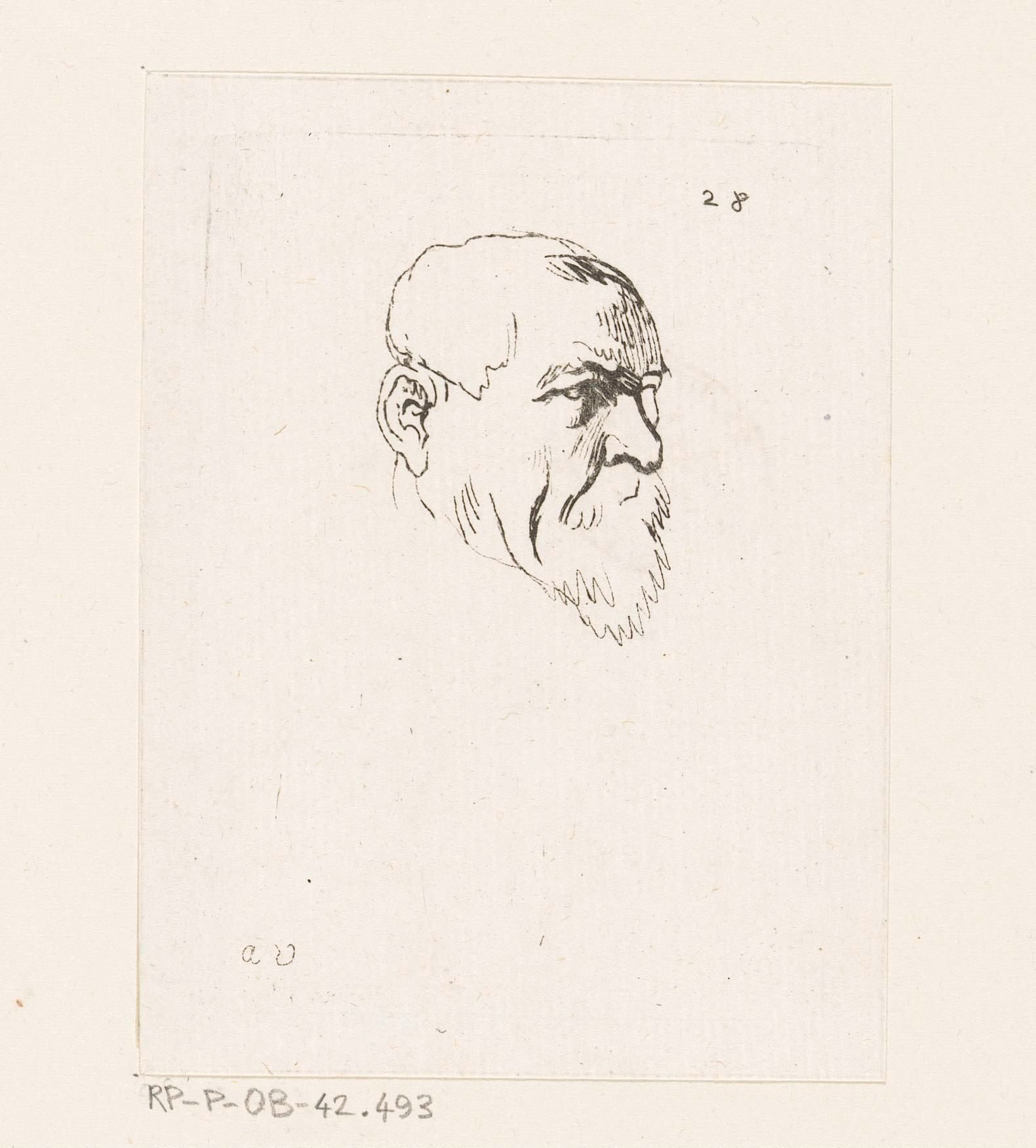 Hoofd van een man met baard