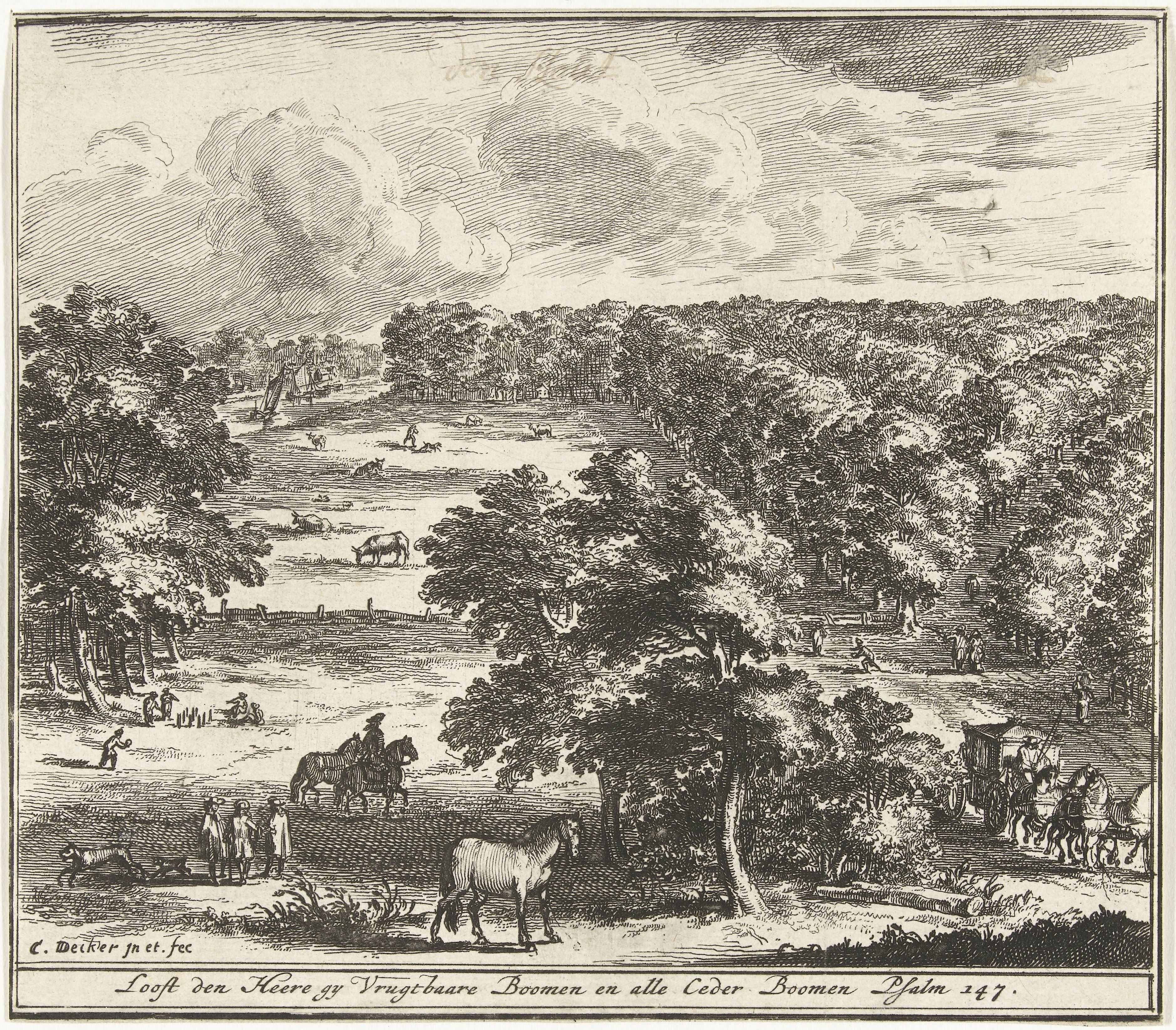 Landschap met bomen in vogelvluchtperspectief