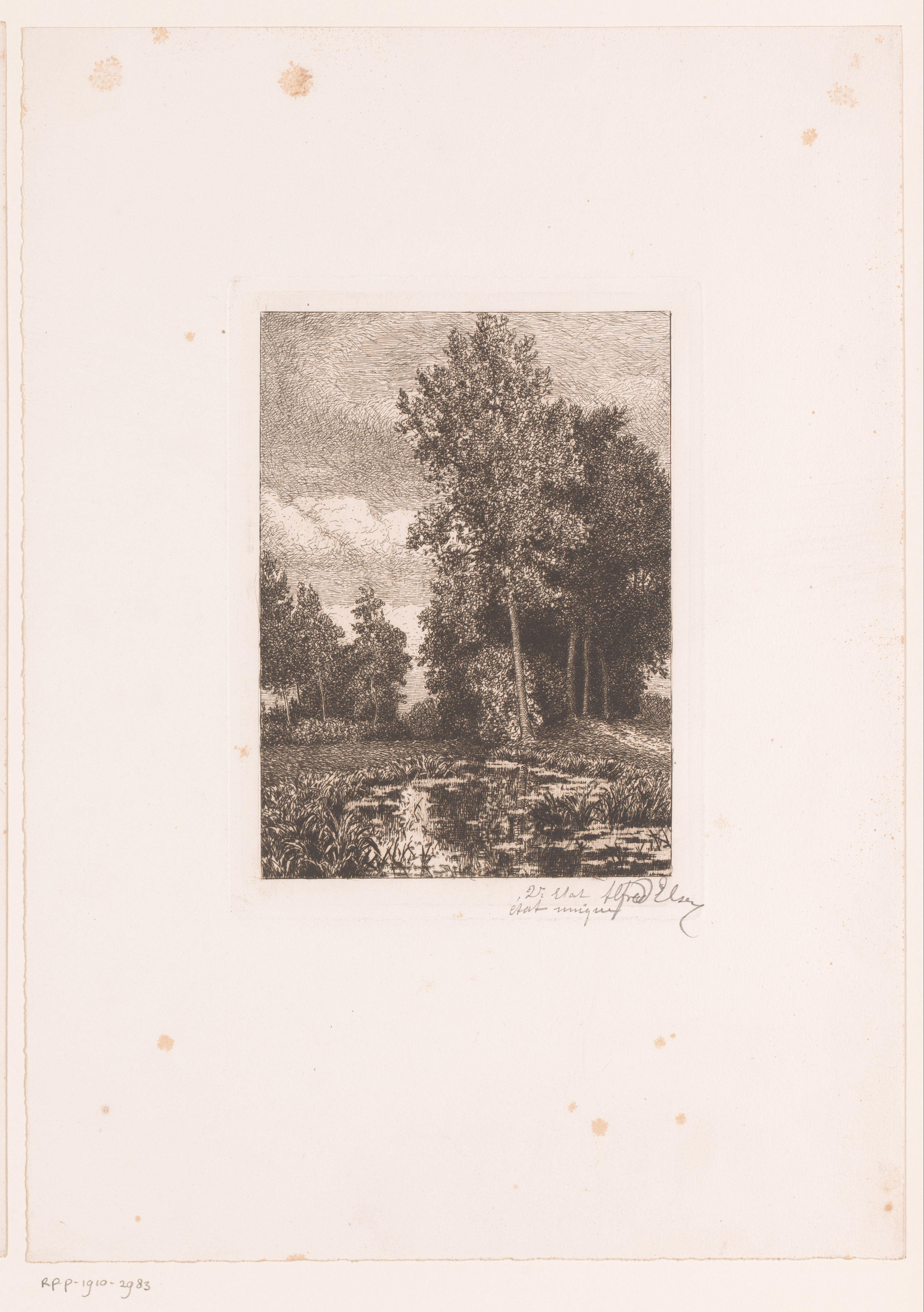 Landschap met beek op de voorgrond