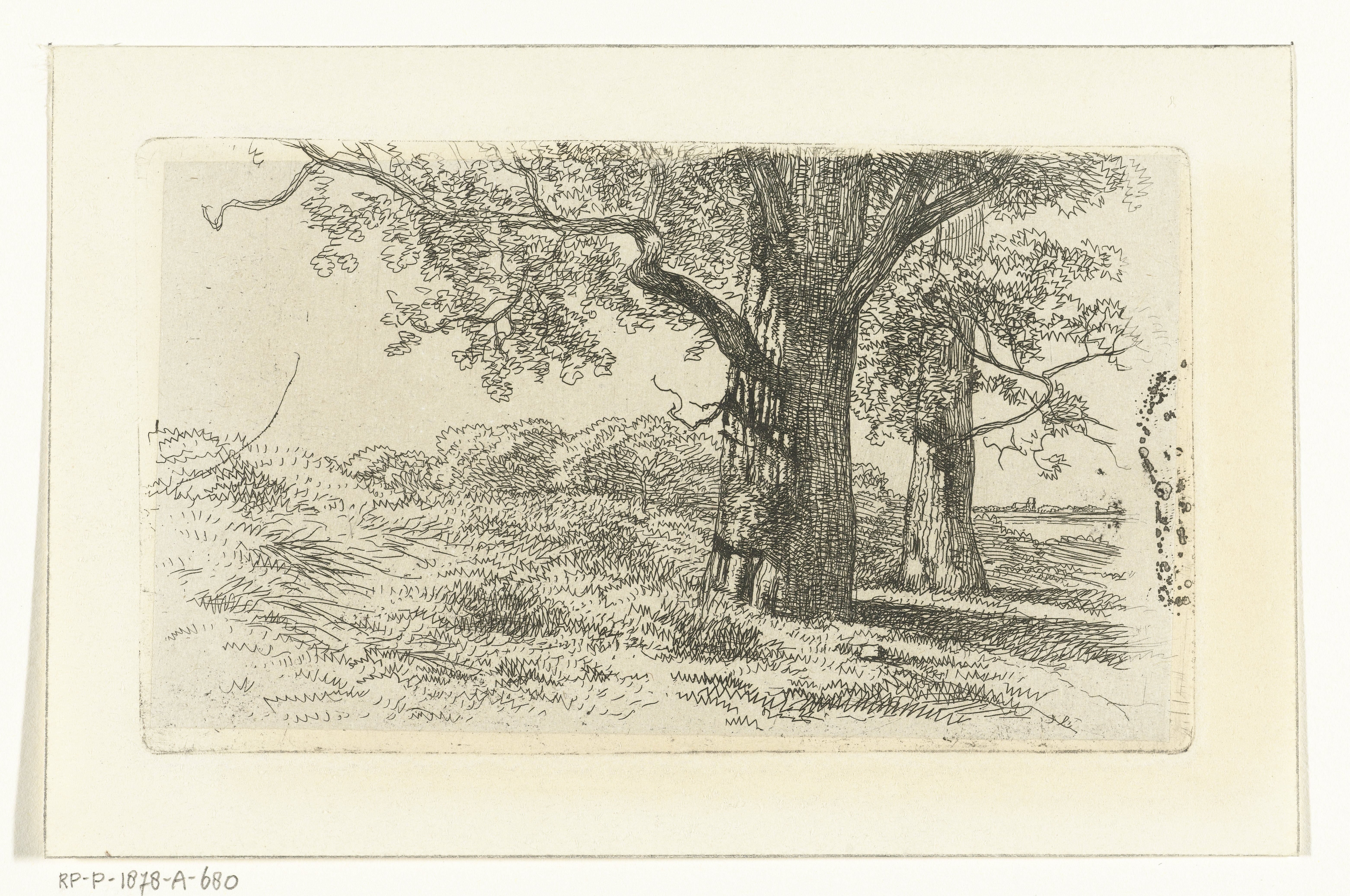 Landschap met twee bomen op grasland