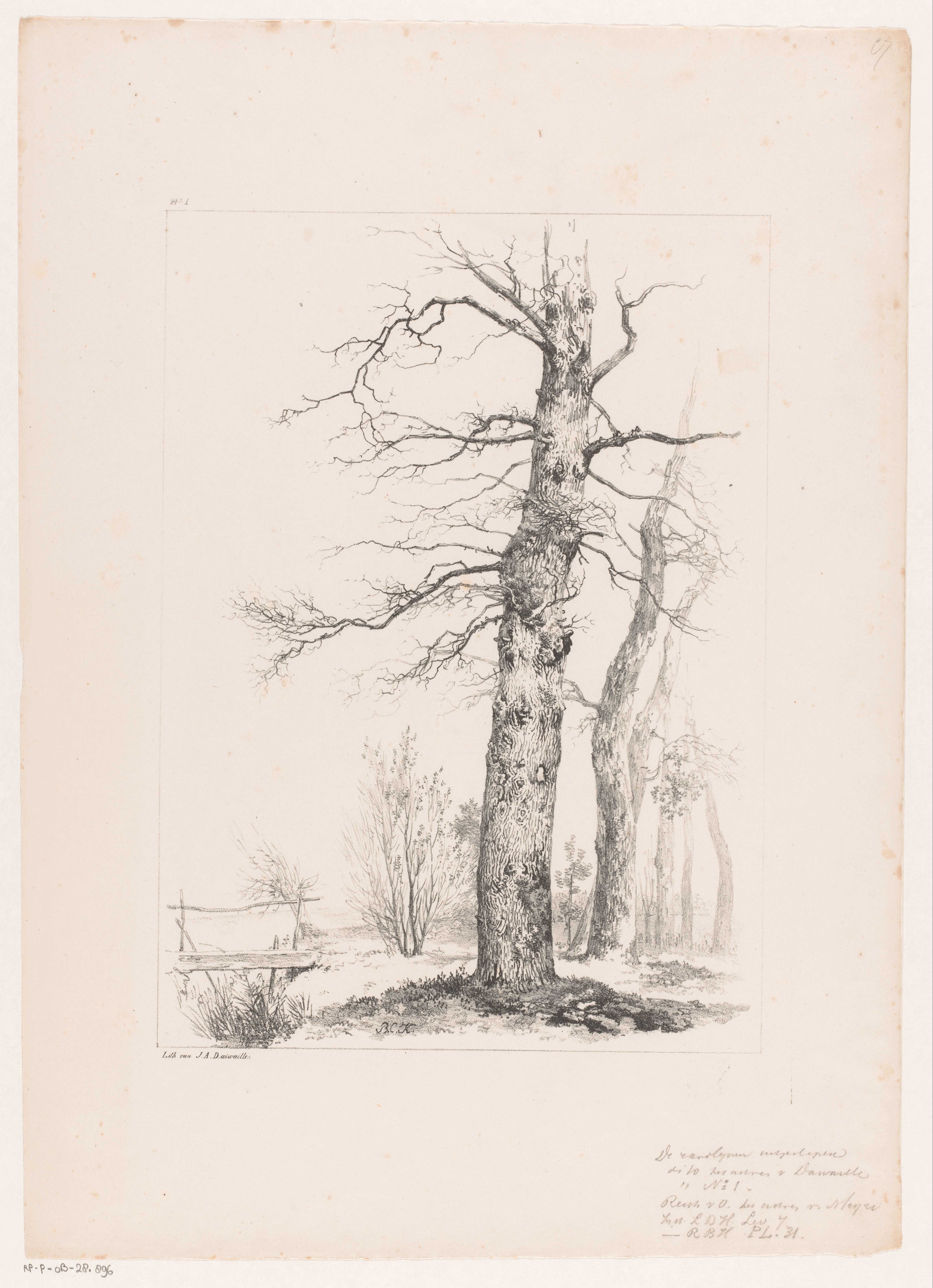 Bomen en brug in landschap