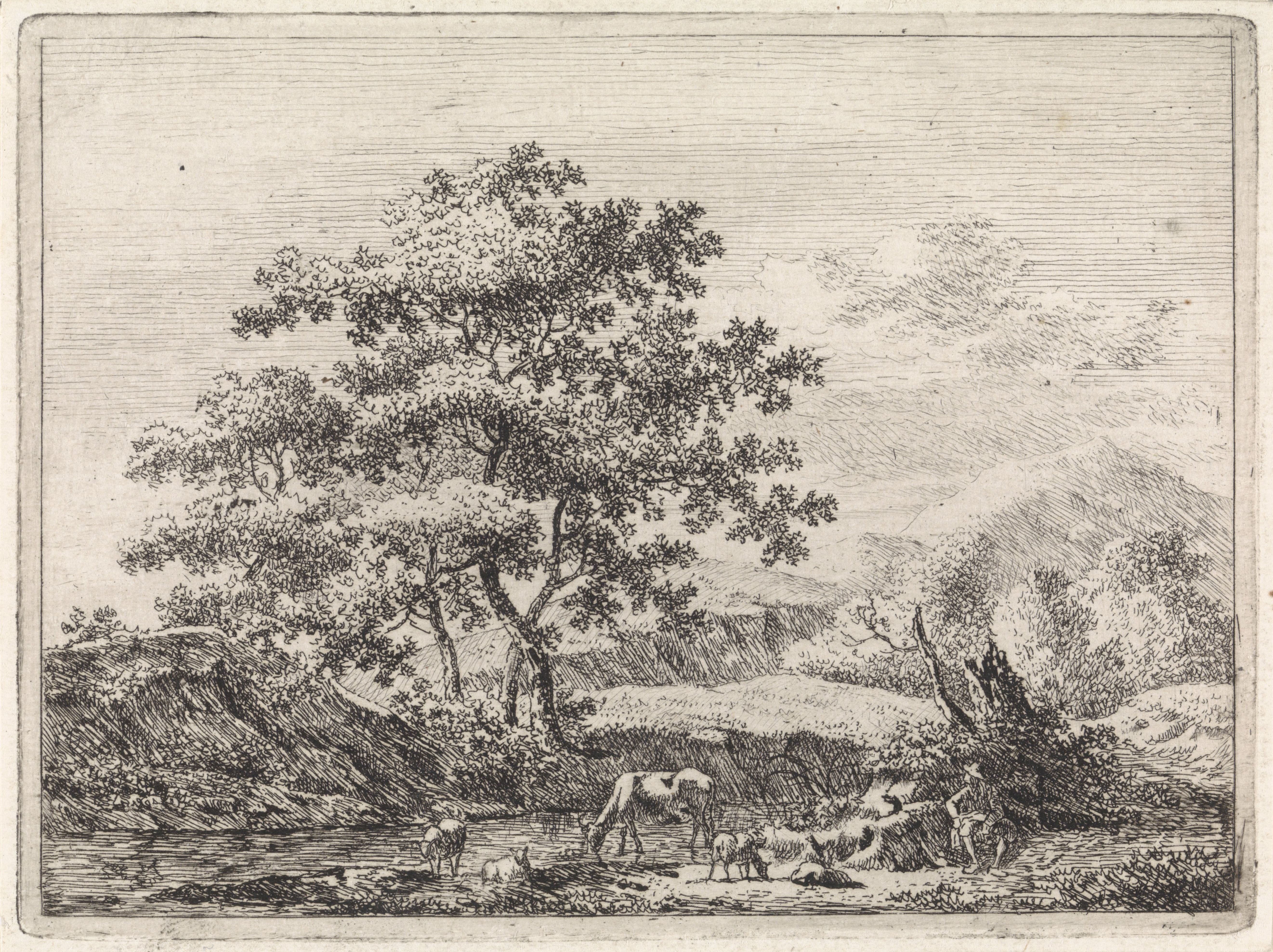 Herder met vee bij rivier