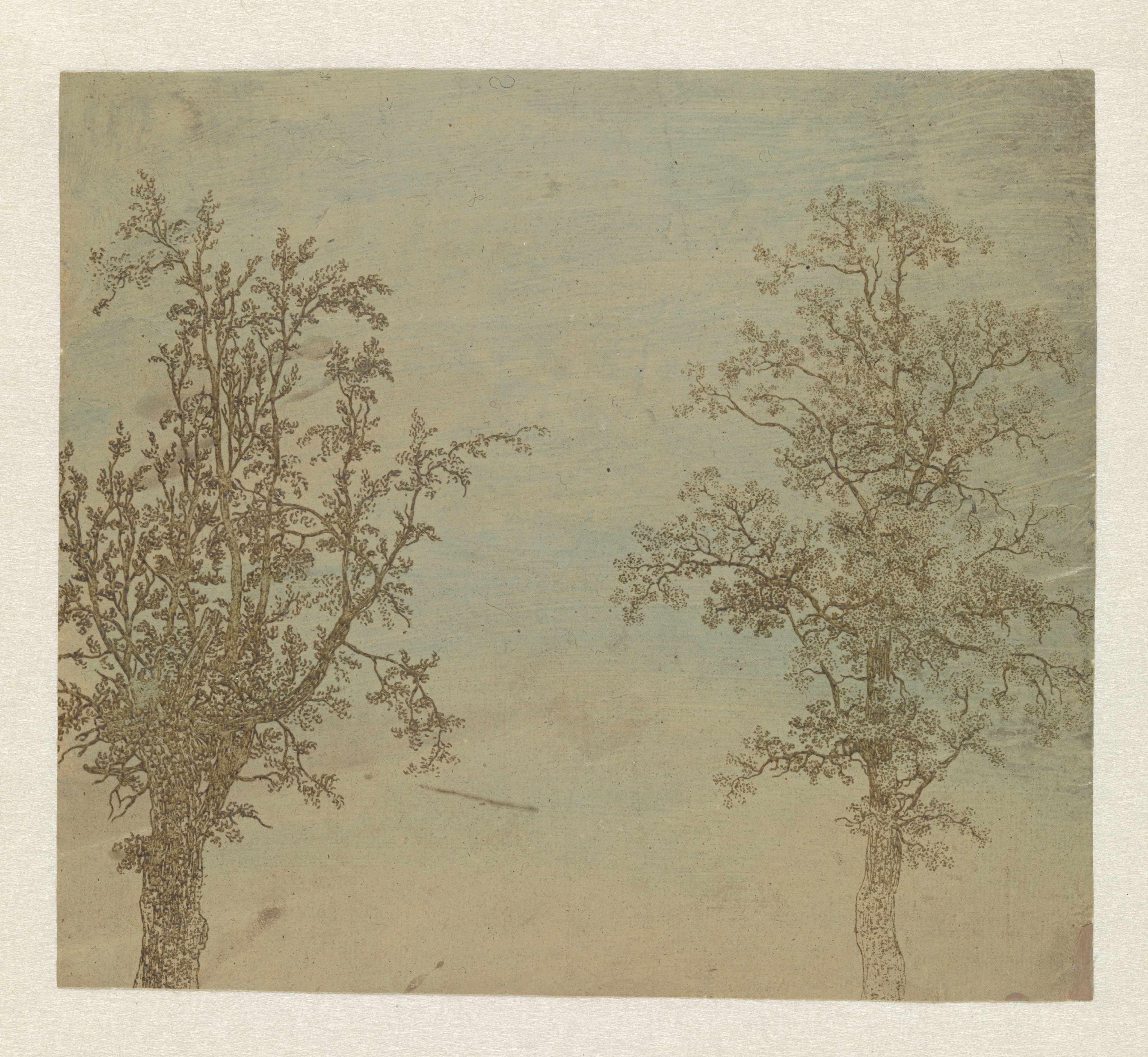 De twee bomen (een els en een es)