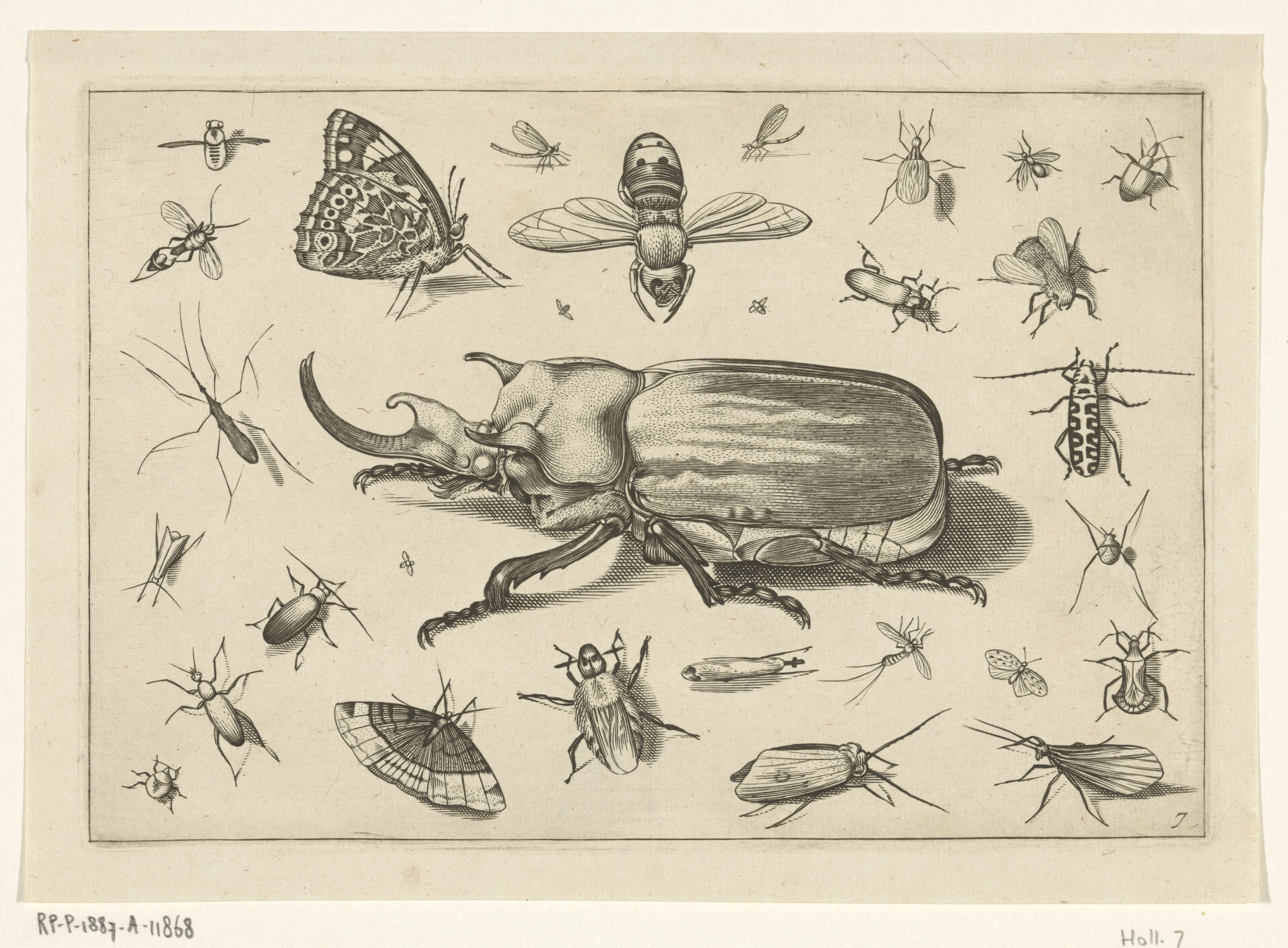 Insecten